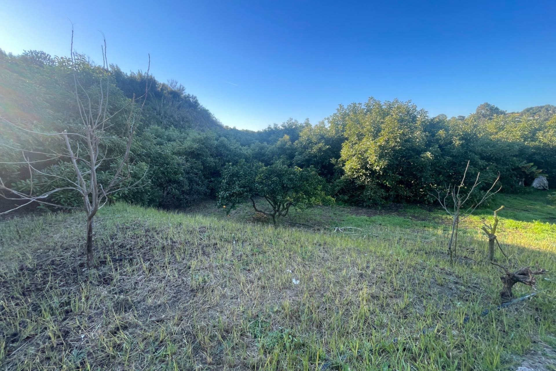 Reventa - House - Finca - Cortijo - Estepona - Estepona Centro