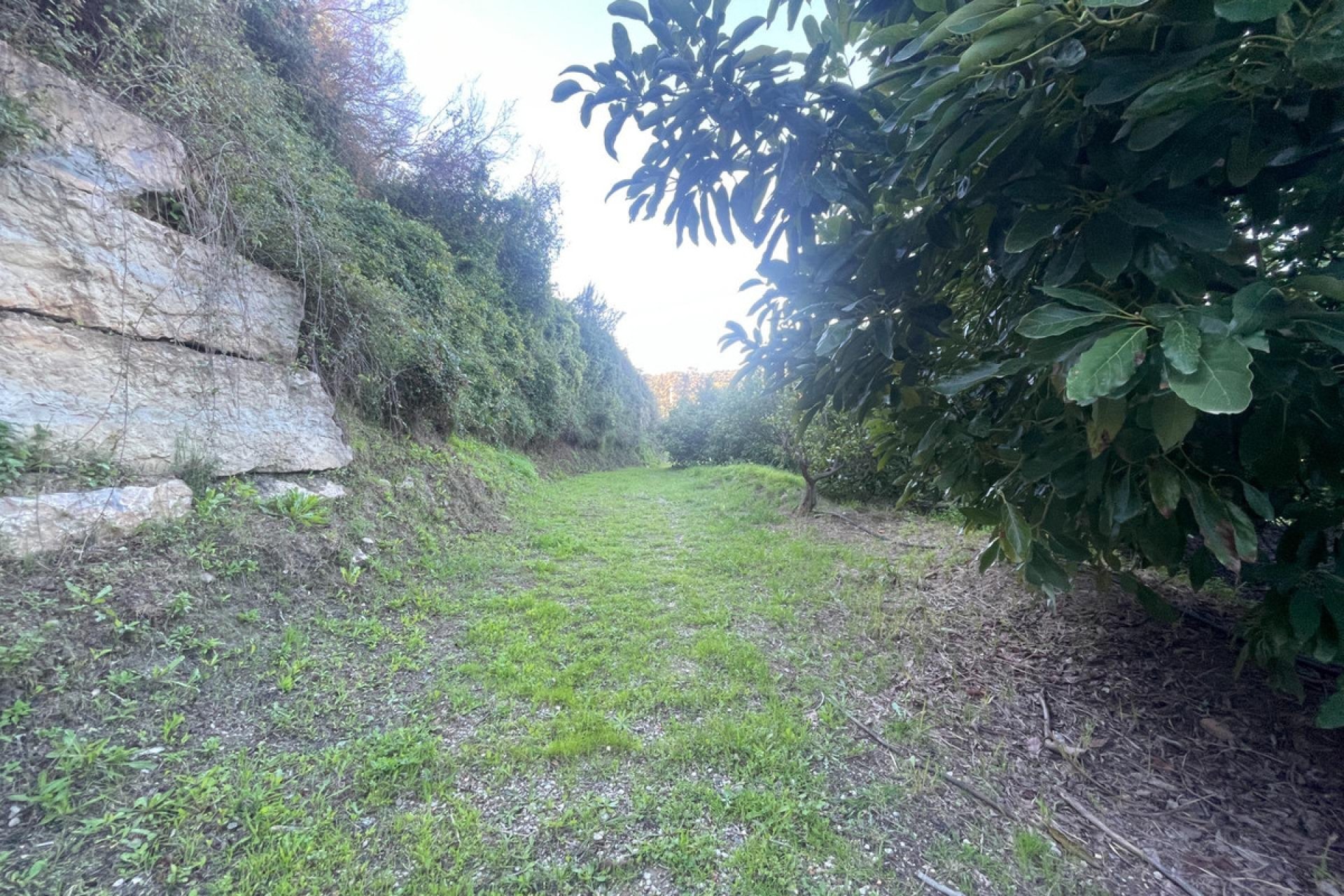 Reventa - House - Finca - Cortijo - Estepona - Estepona Centro