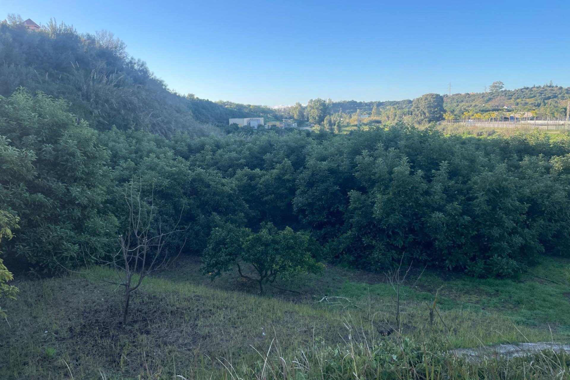 Reventa - House - Finca - Cortijo - Estepona - Estepona Centro