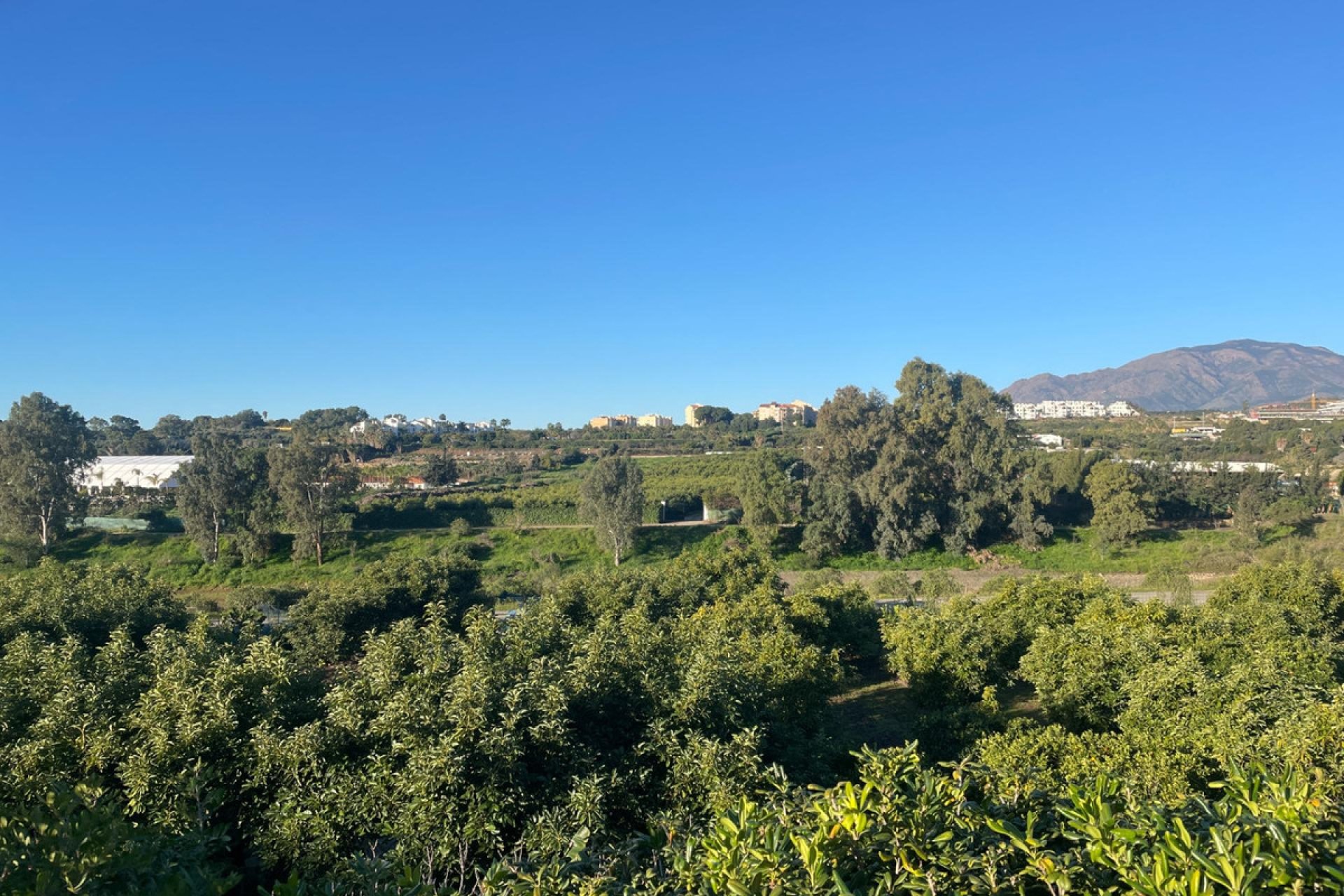 Reventa - House - Finca - Cortijo - Estepona - Estepona Centro