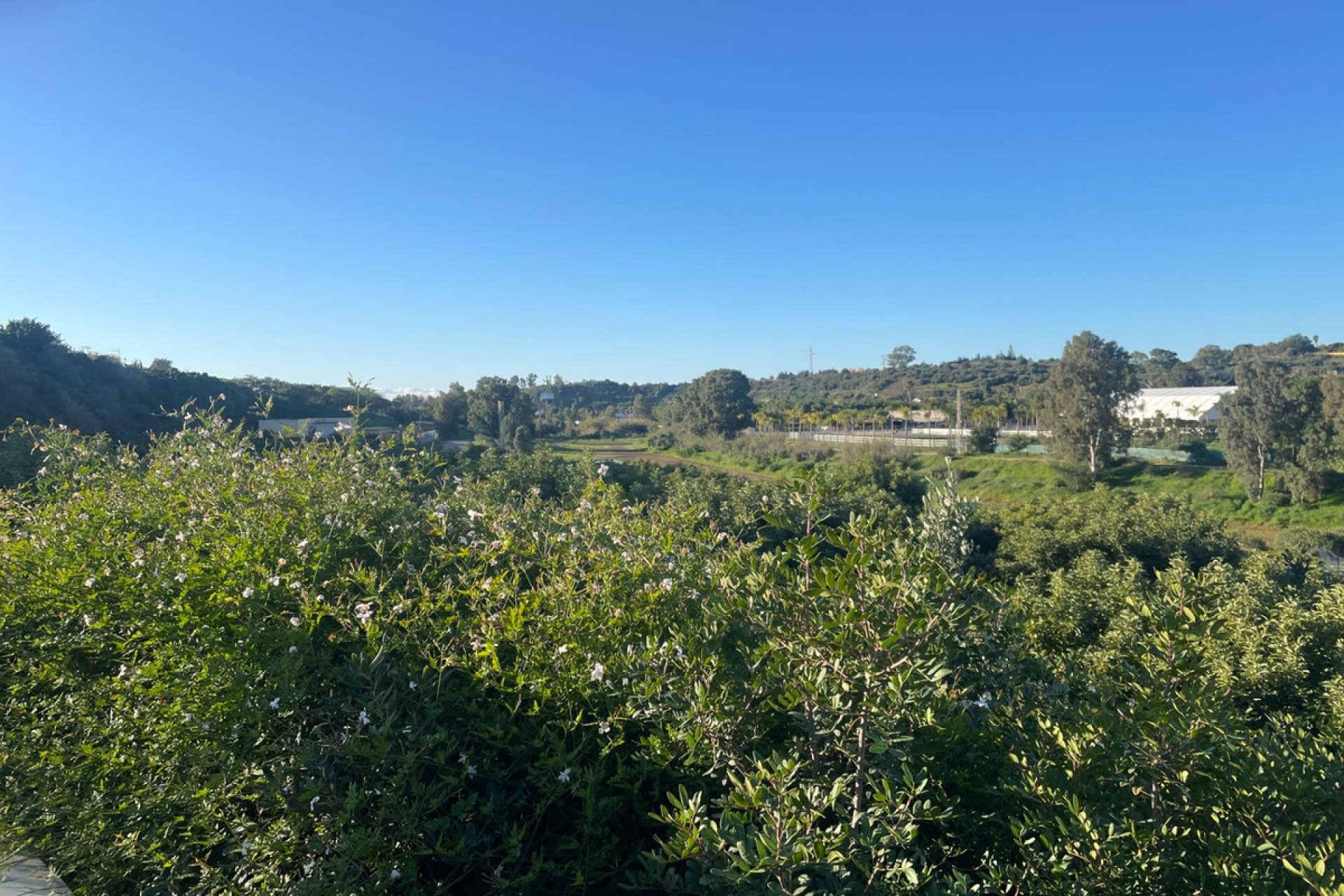 Reventa - House - Finca - Cortijo - Estepona - Estepona Centro