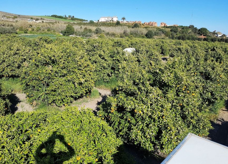 Reventa - House - Finca - Cortijo - Manilva - San Luis de Sabinillas