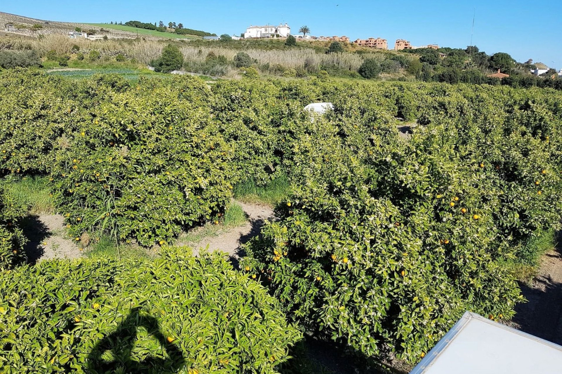 Reventa - House - Finca - Cortijo - Manilva - San Luis de Sabinillas