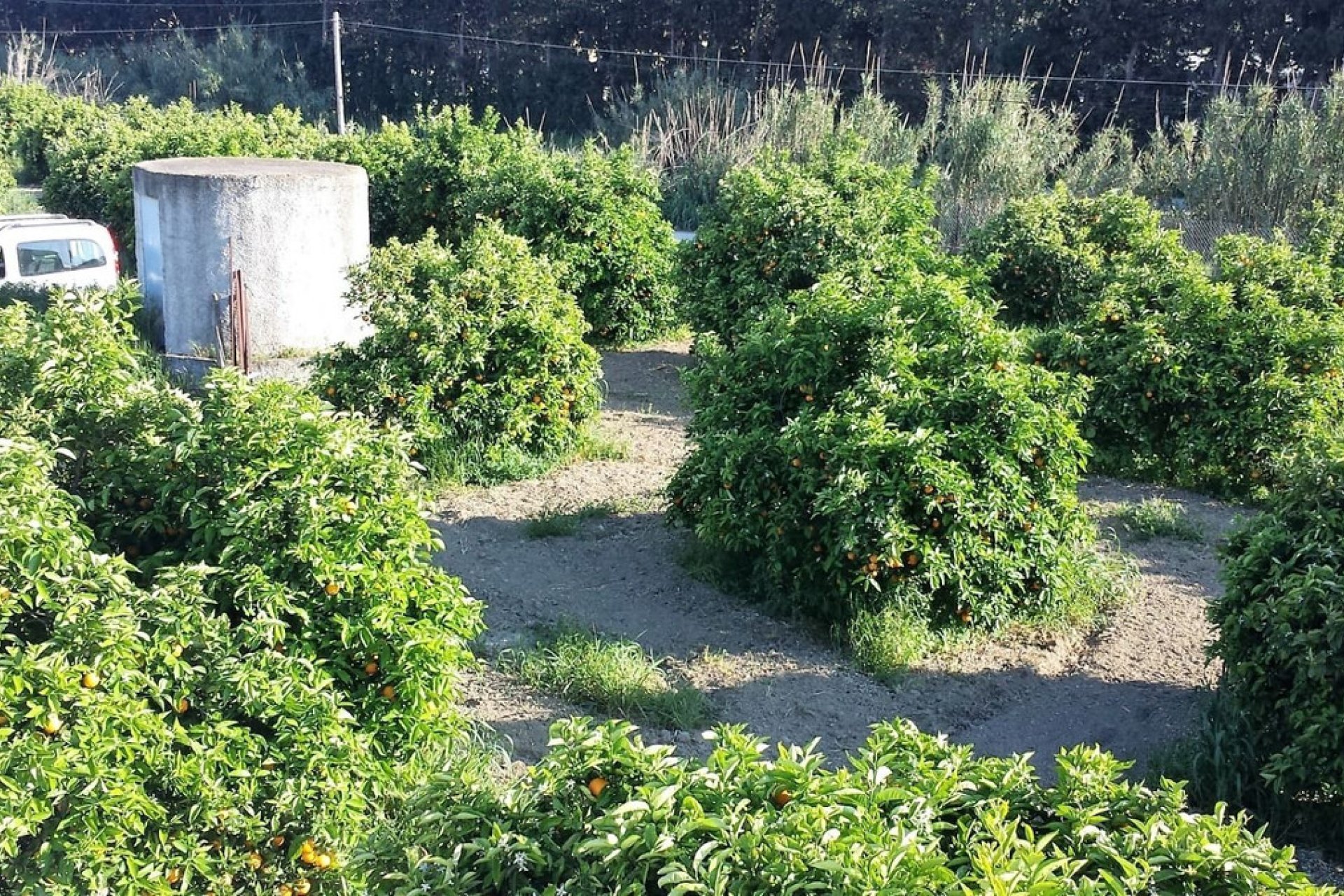 Reventa - House - Finca - Cortijo - Manilva - San Luis de Sabinillas