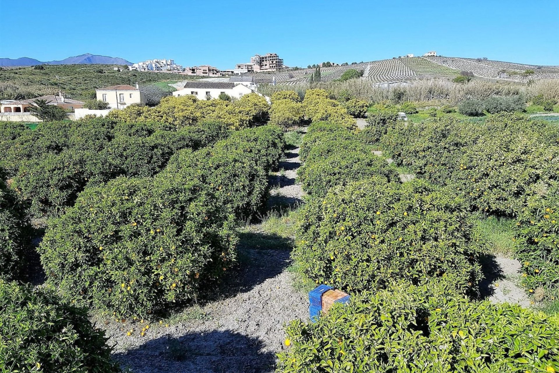 Reventa - House - Finca - Cortijo - Manilva - San Luis de Sabinillas