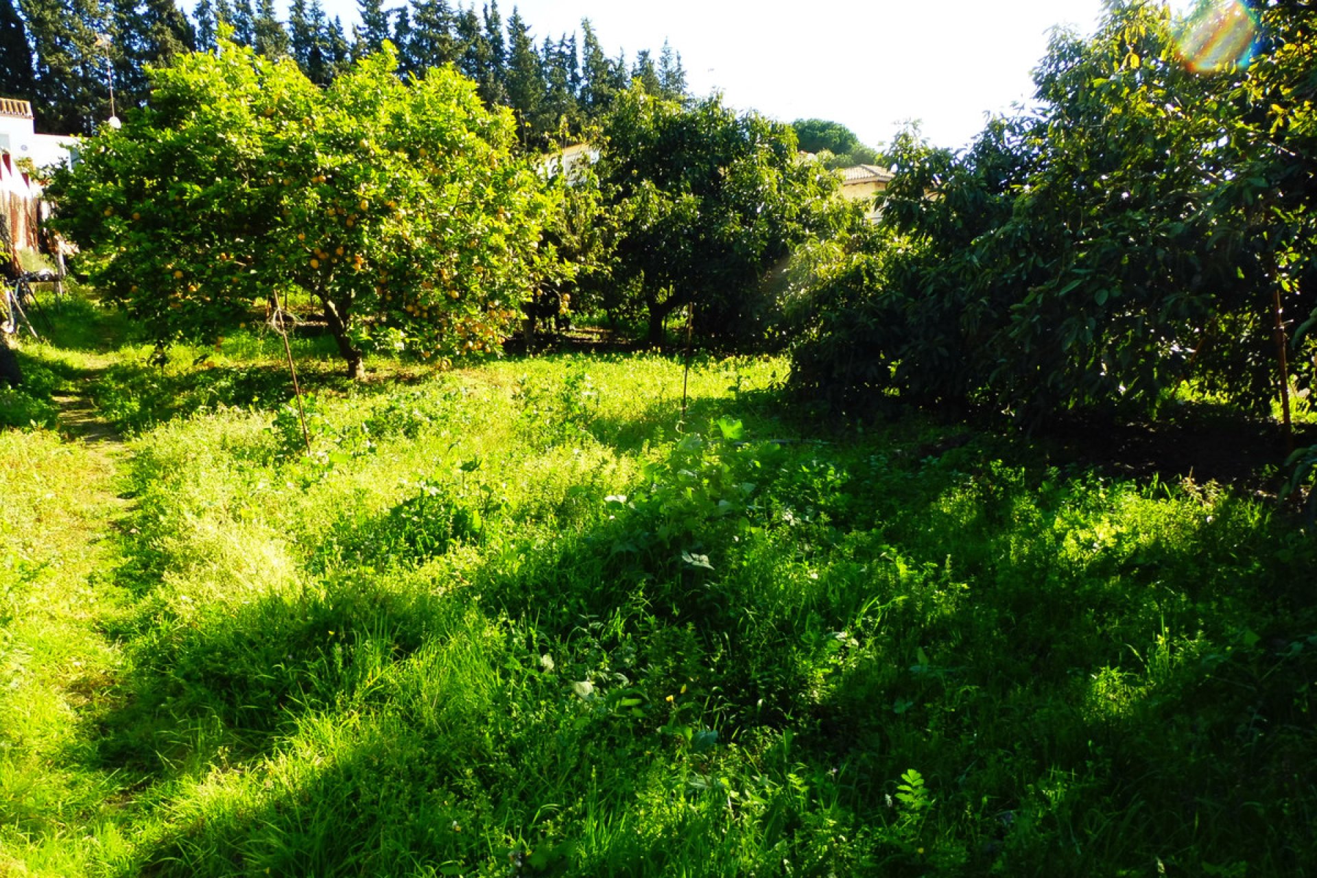 Reventa - House - Finca - Cortijo - Marbella - Marbella Centro