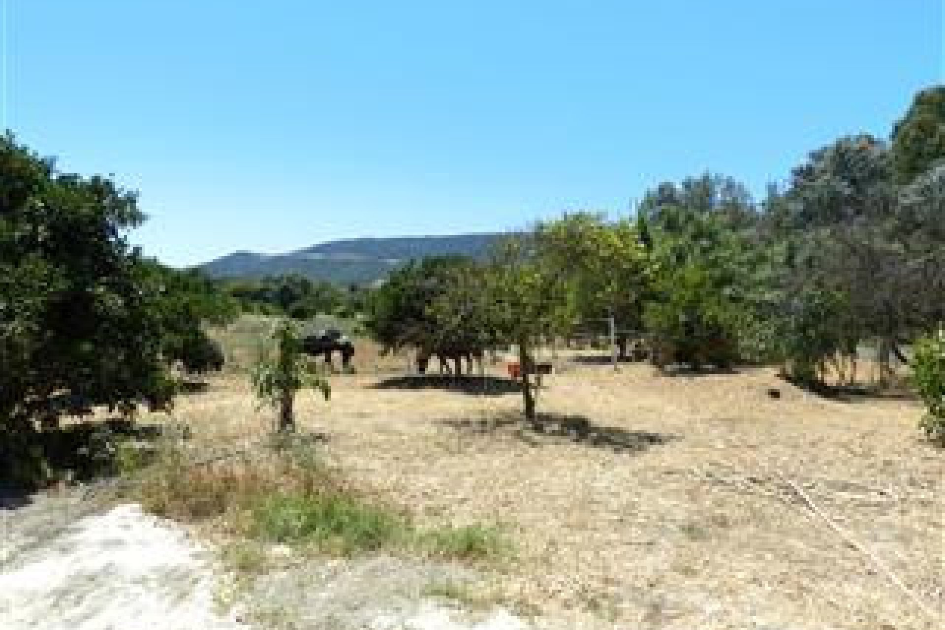 Reventa - House - Finca - Cortijo - San Roque