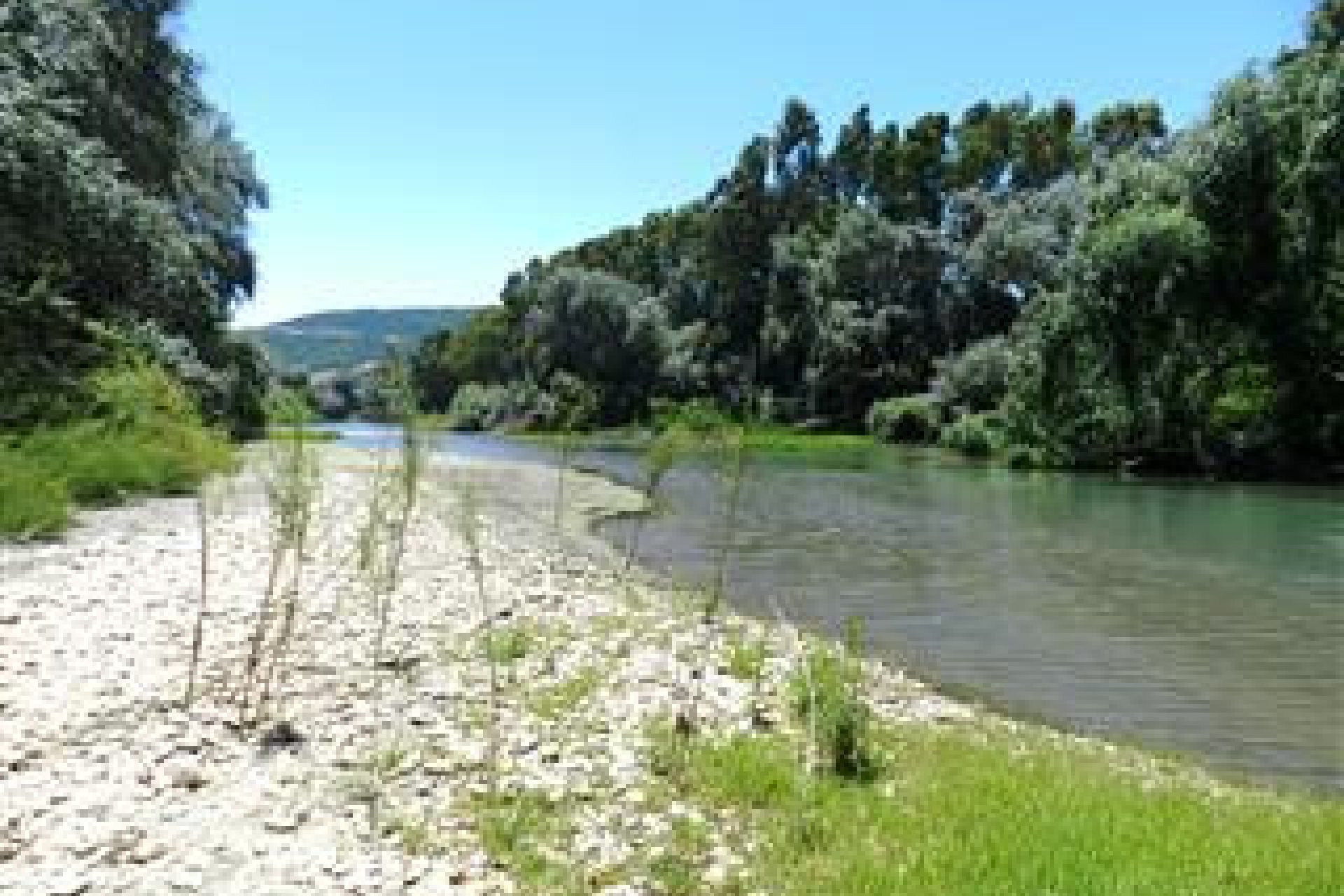 Reventa - House - Finca - Cortijo - San Roque