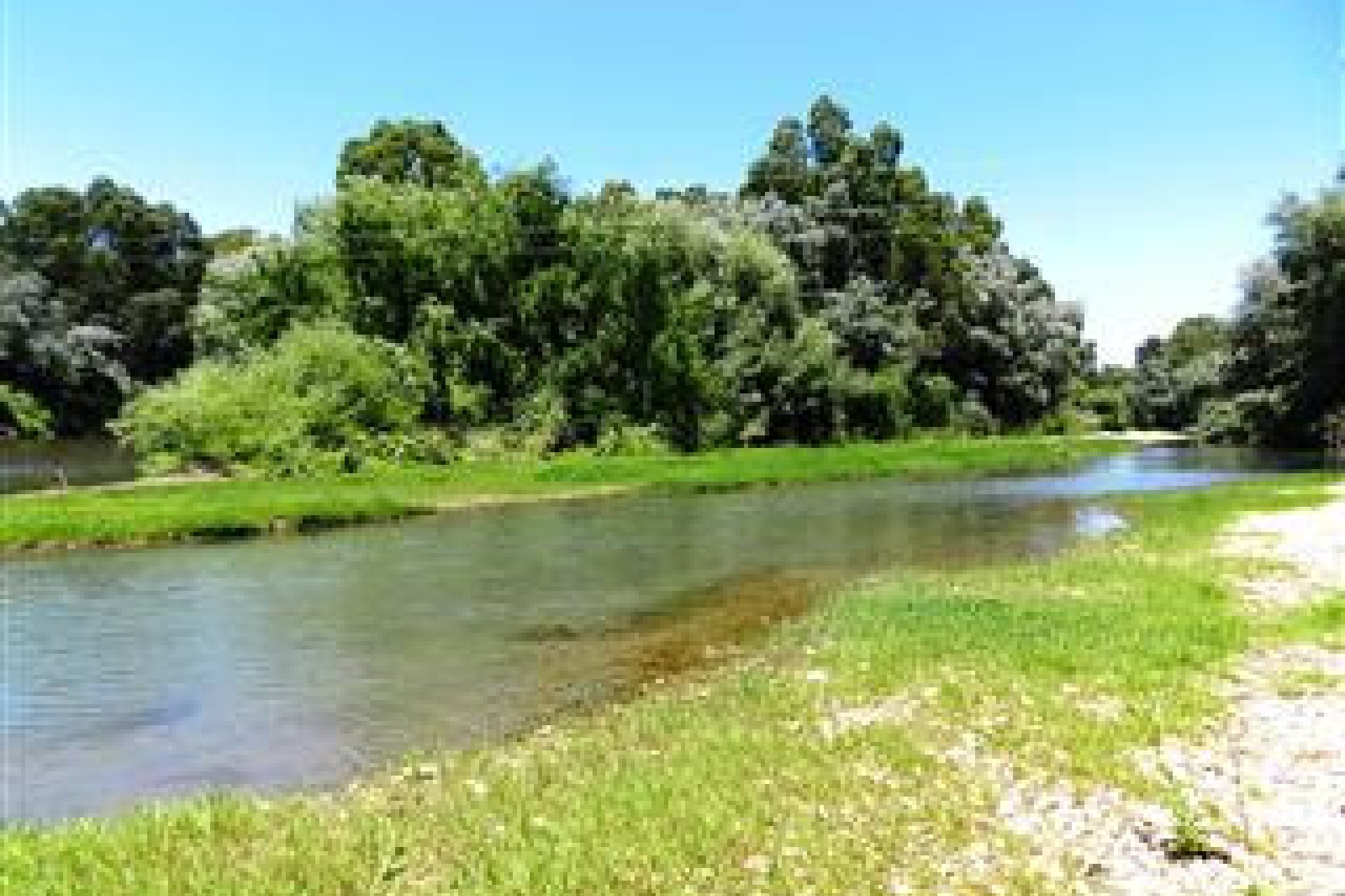 Reventa - House - Finca - Cortijo - San Roque