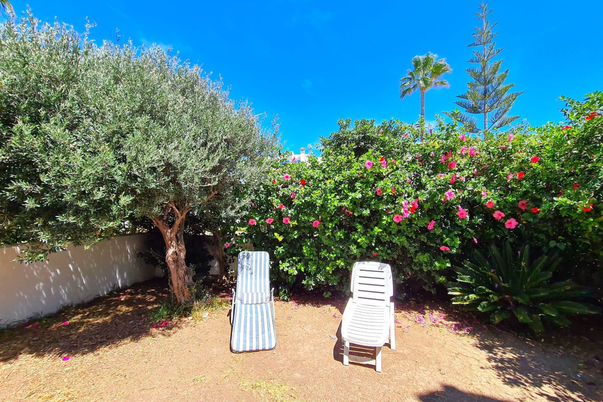 Reventa - House - Semi-Detached House - Casares - Casares Playa