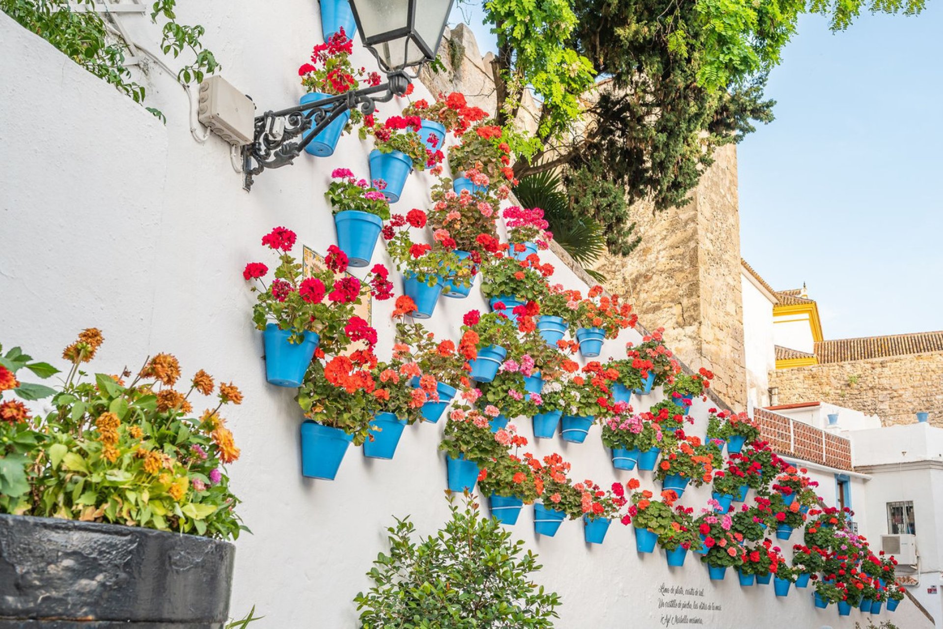 Reventa - House - Townhouse - Marbella - Marbella Centro