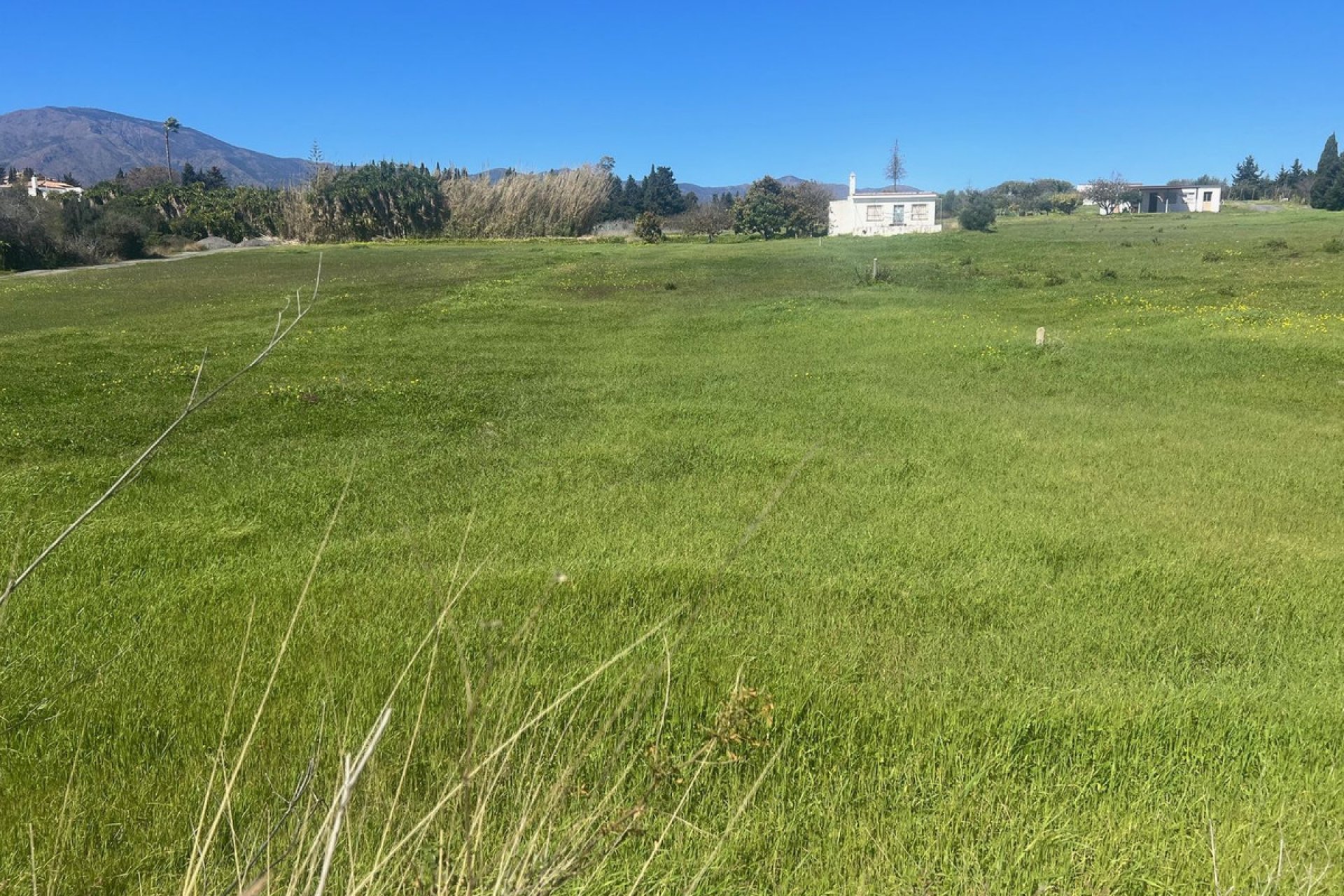 Reventa - Plot - Commercial Plot - Estepona - Estepona Centro
