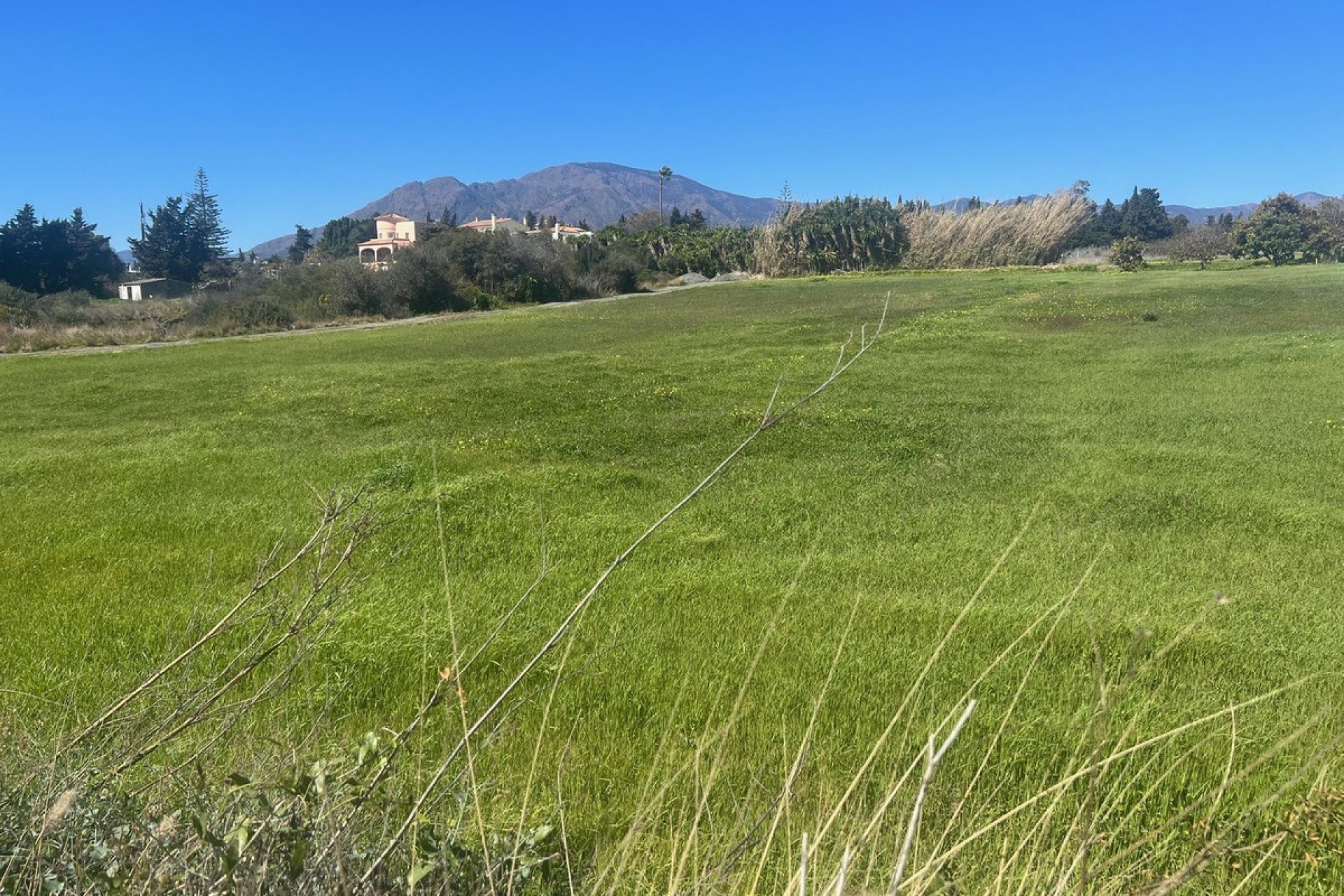 Reventa - Plot - Commercial Plot - Estepona - Estepona Centro