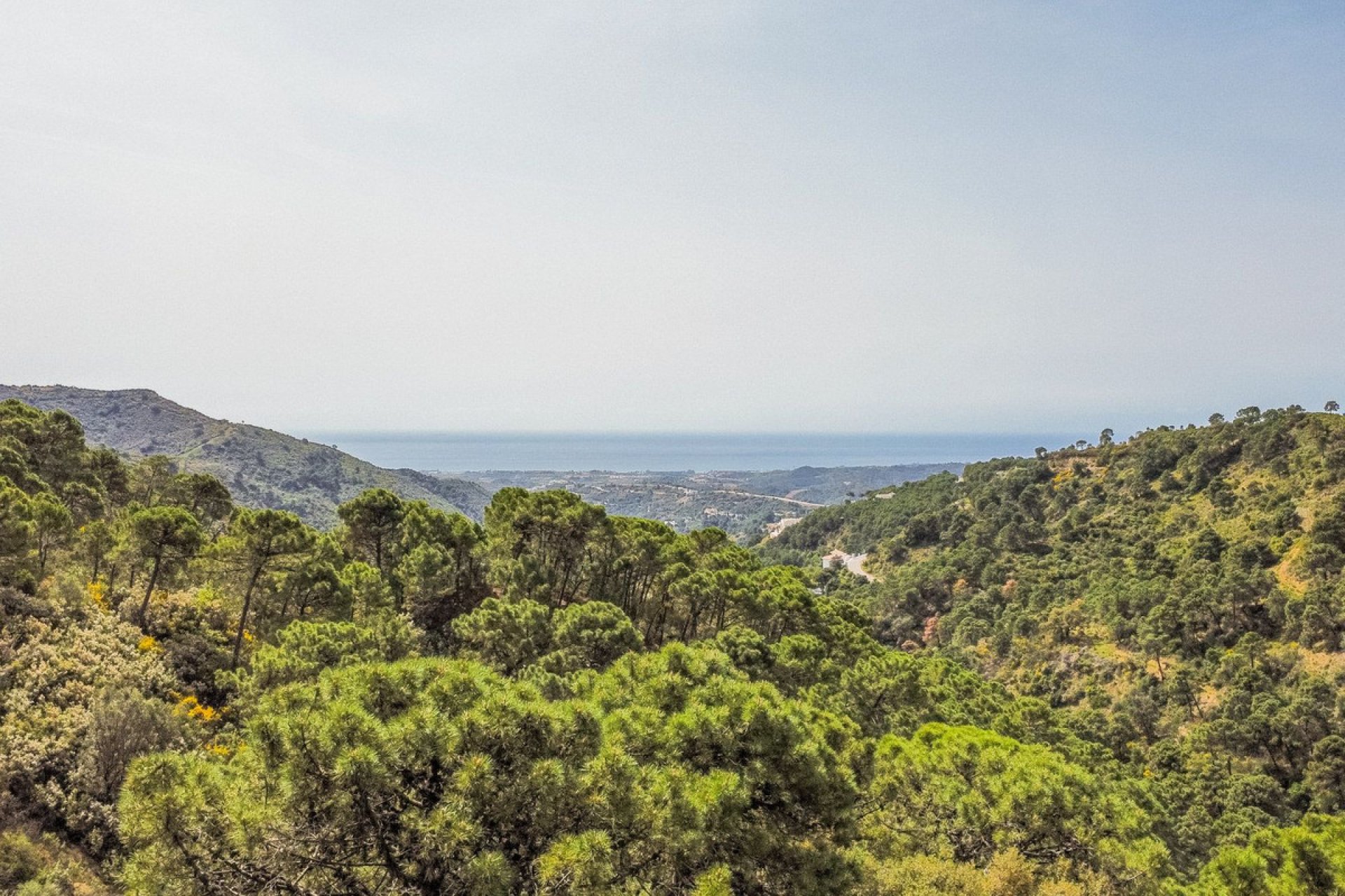 Reventa - Plot - Land - Benahavís - Benahavís Centro