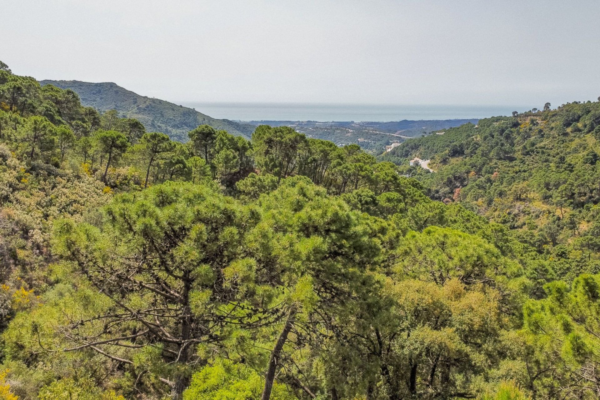 Reventa - Plot - Land - Benahavís - Benahavís Centro