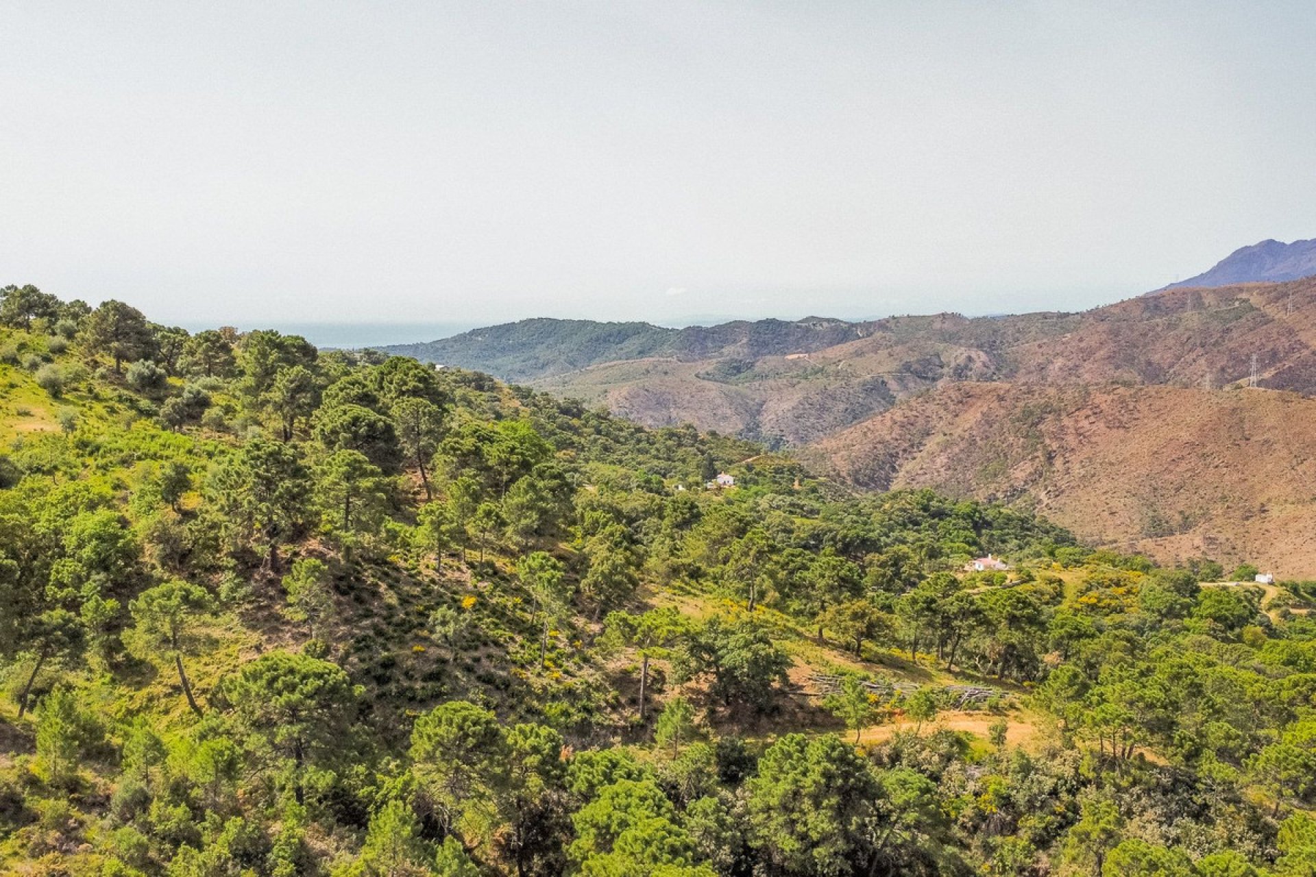 Reventa - Plot - Land - Benahavís - Benahavís Centro