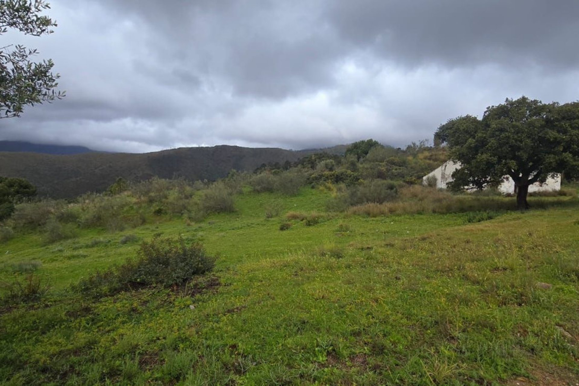 Reventa - Plot - Land - Benahavís - Benahavís Centro