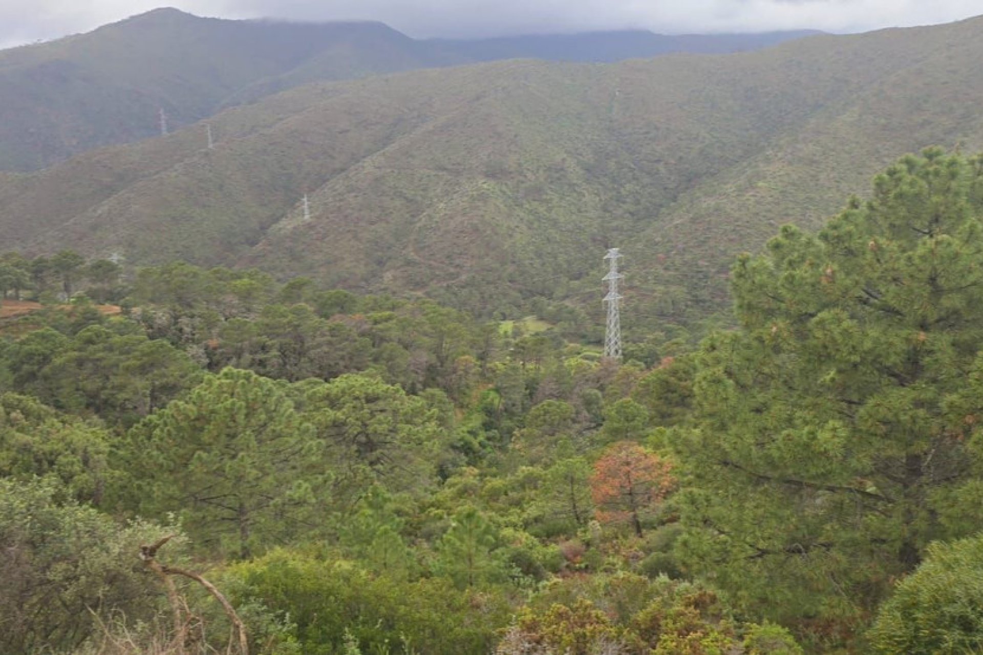 Reventa - Plot - Land - Benahavís - Benahavís Centro