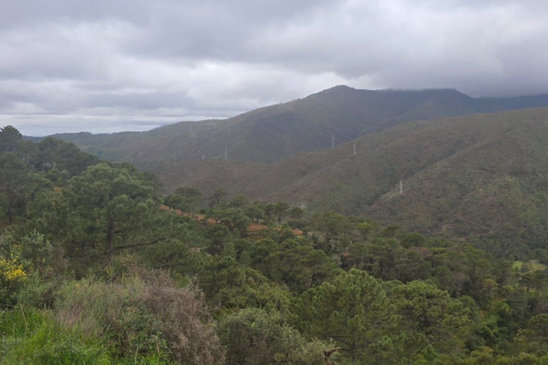 Reventa - Plot - Land - Benahavís - Benahavís Centro