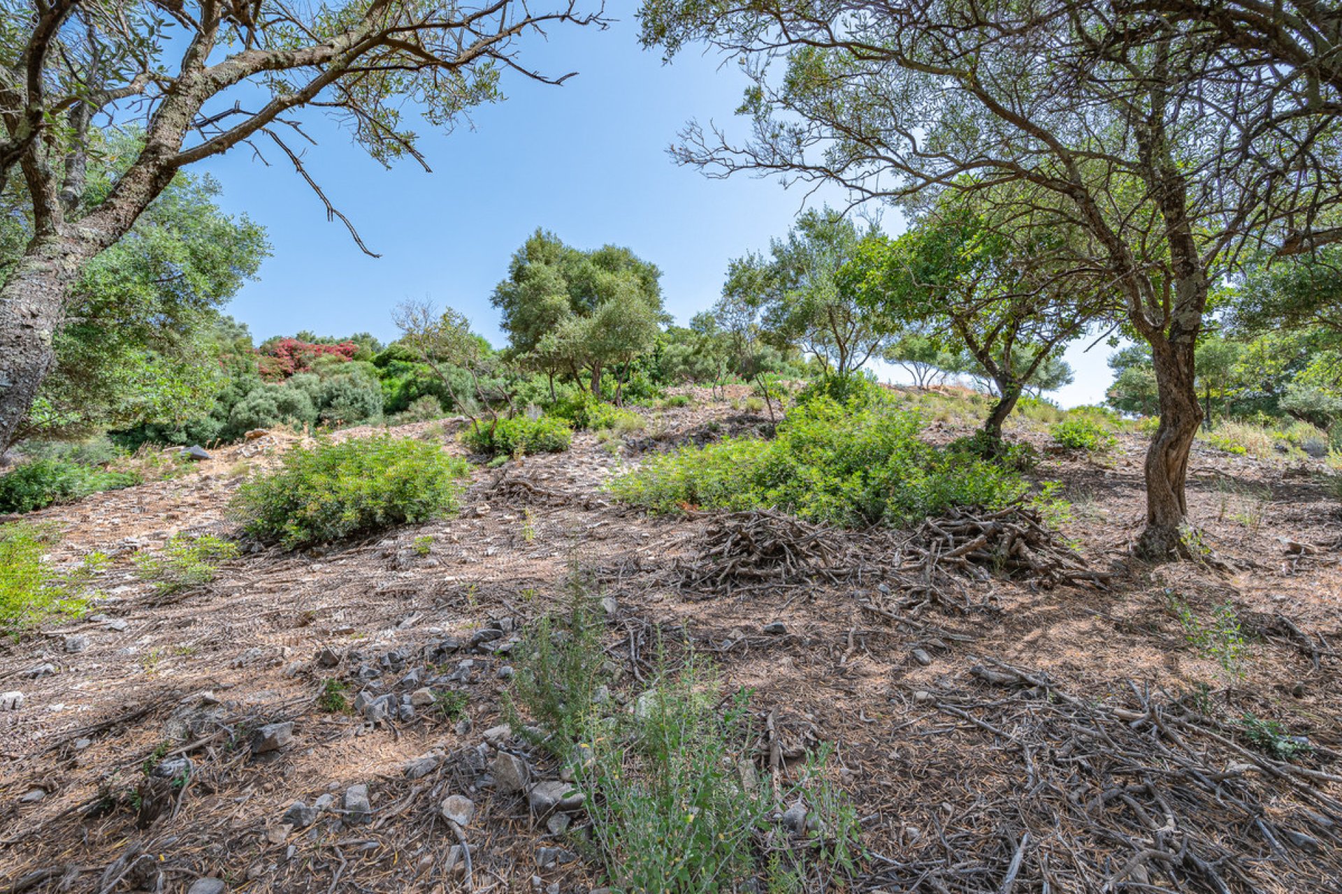 Reventa - Plot - Land - Benahavís - La Zagaleta