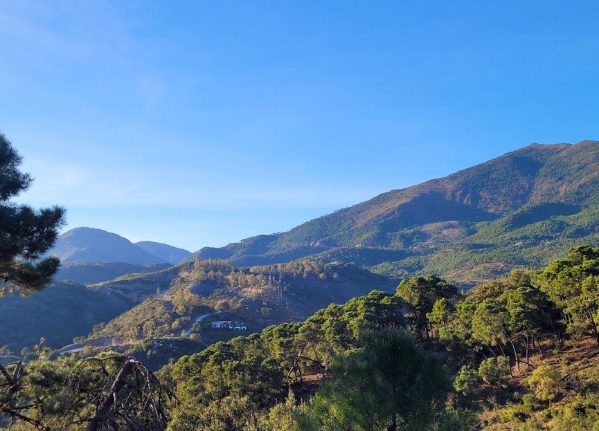 Reventa - Plot - Land - Benahavís - La Zagaleta