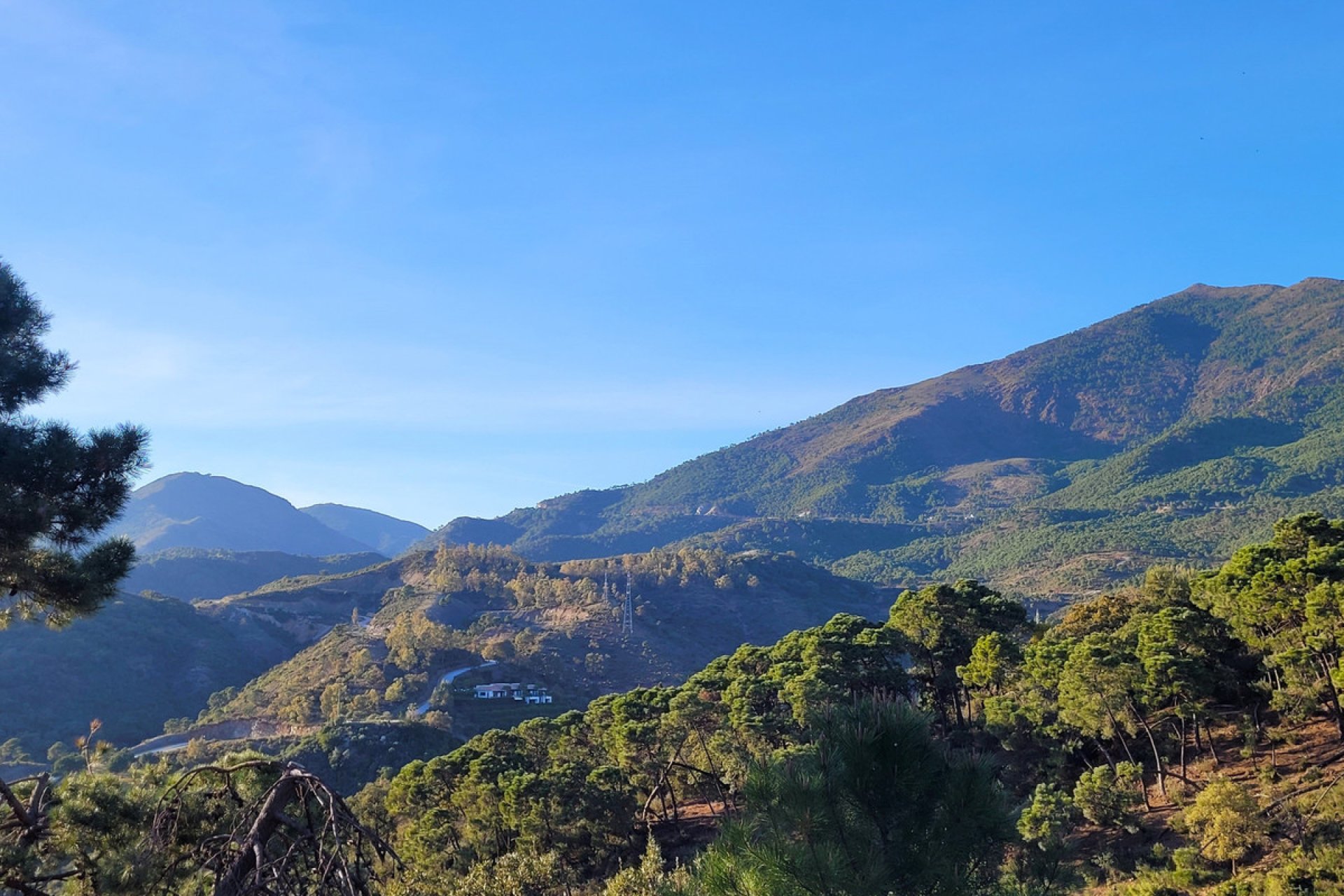 Reventa - Plot - Land - Benahavís - La Zagaleta