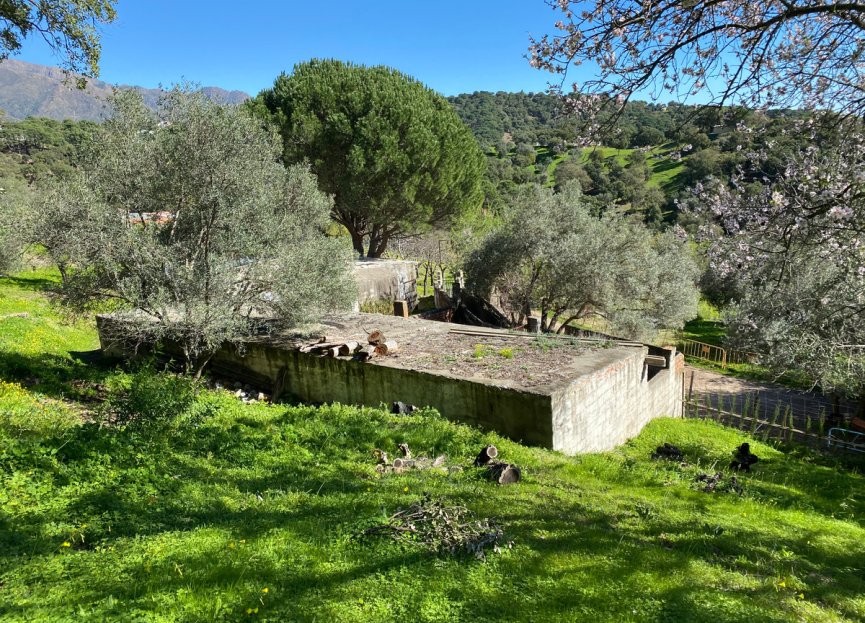 Reventa - Plot - Land - Casares - Casares Centro