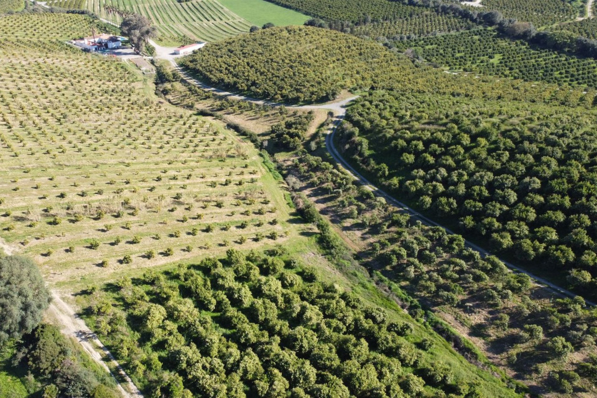 Reventa - Plot - Land - Casares - Casares Centro