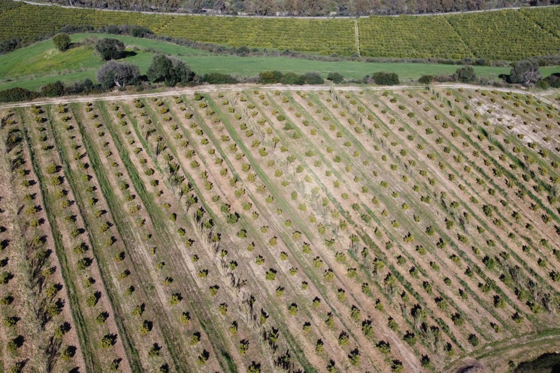 Reventa - Plot - Land - Casares - Casares Centro