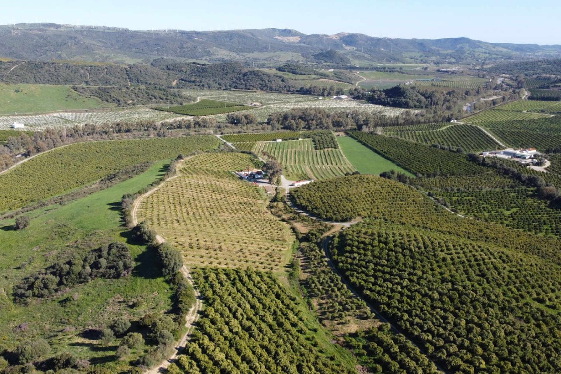 Reventa - Plot - Land - Casares - Casares Centro