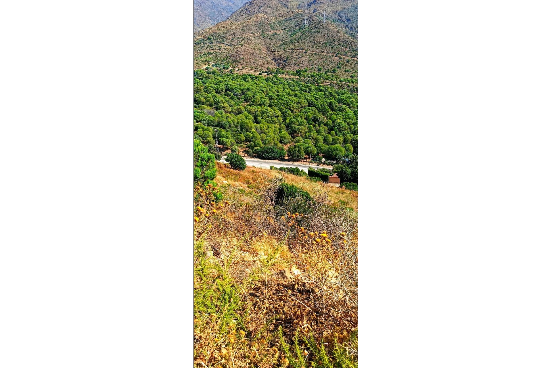 Reventa - Plot - Land - Estepona - Estepona Centro