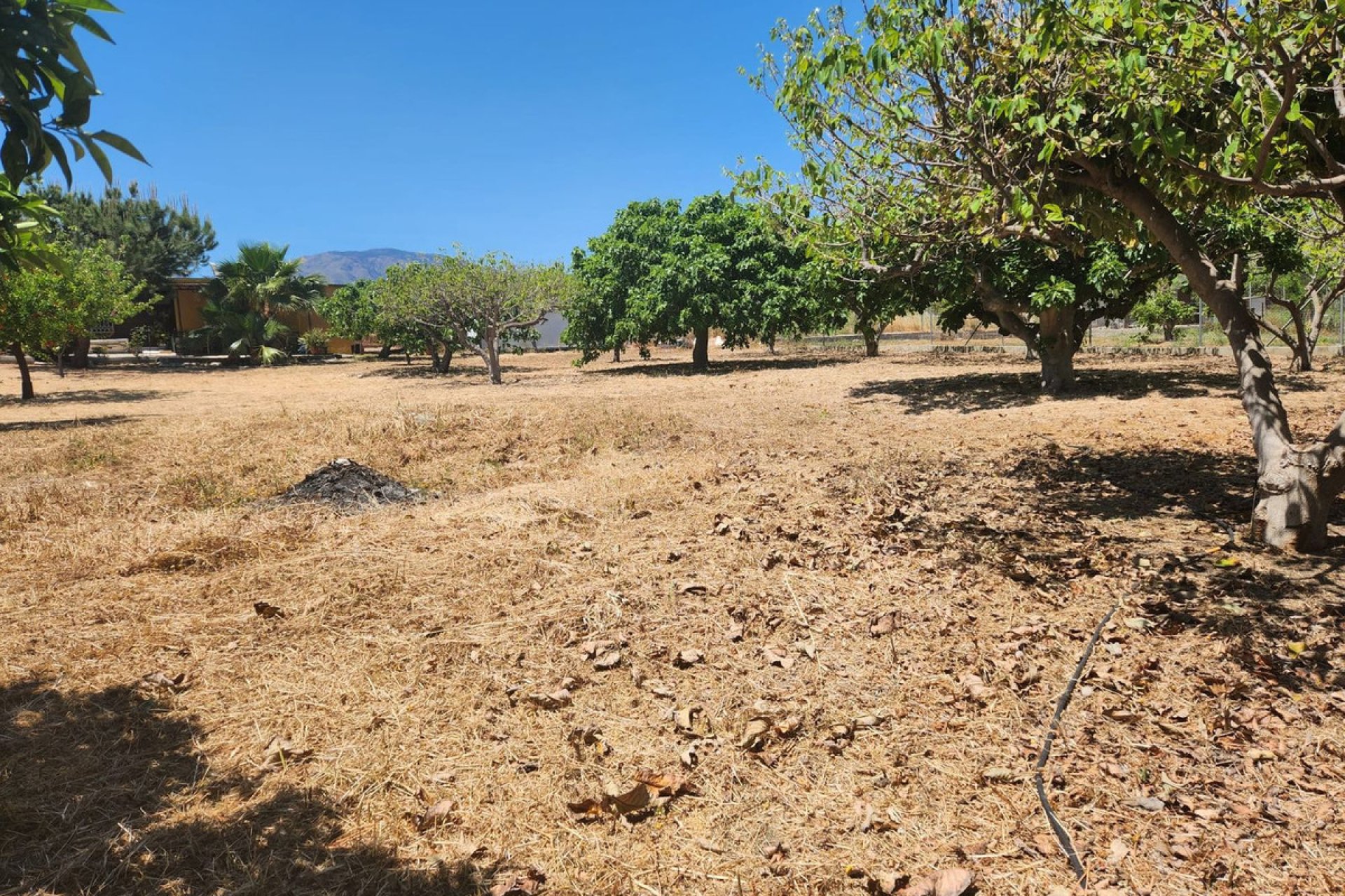 Reventa - Plot - Land - Estepona - Estepona Centro