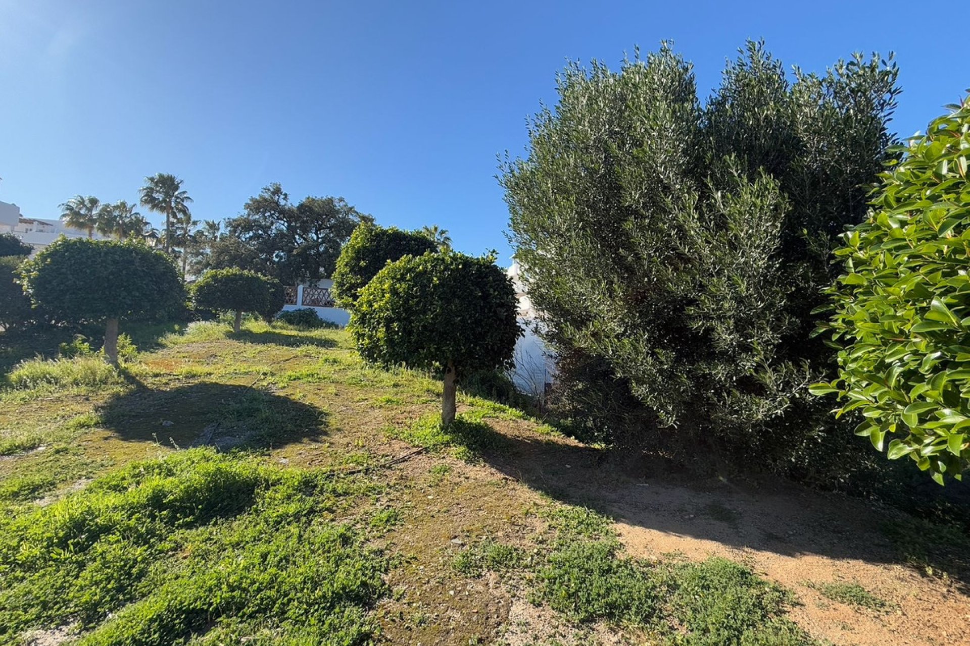 Reventa - Plot - Land - Estepona - Estepona Centro