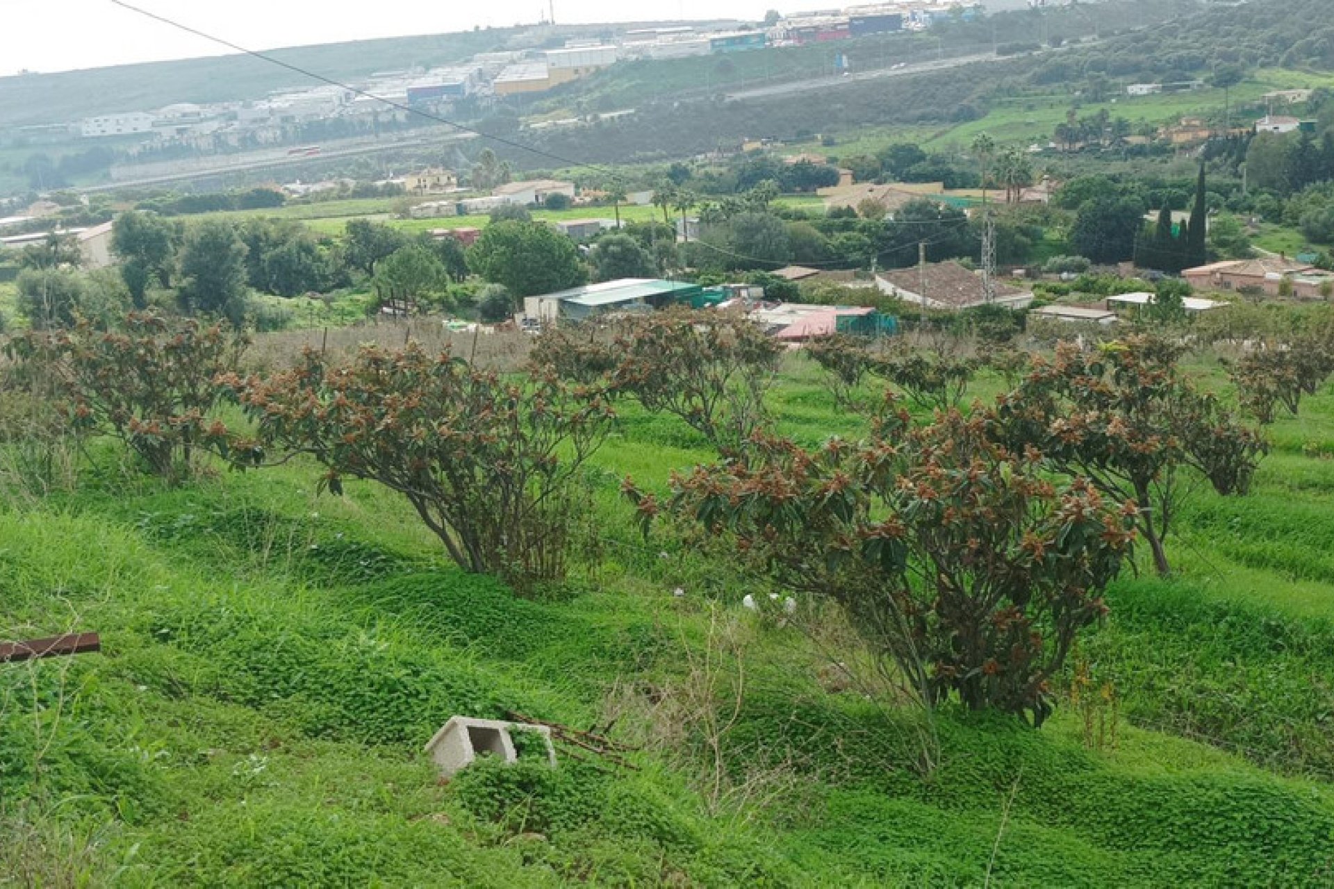 Reventa - Plot - Land - Estepona - Estepona Centro