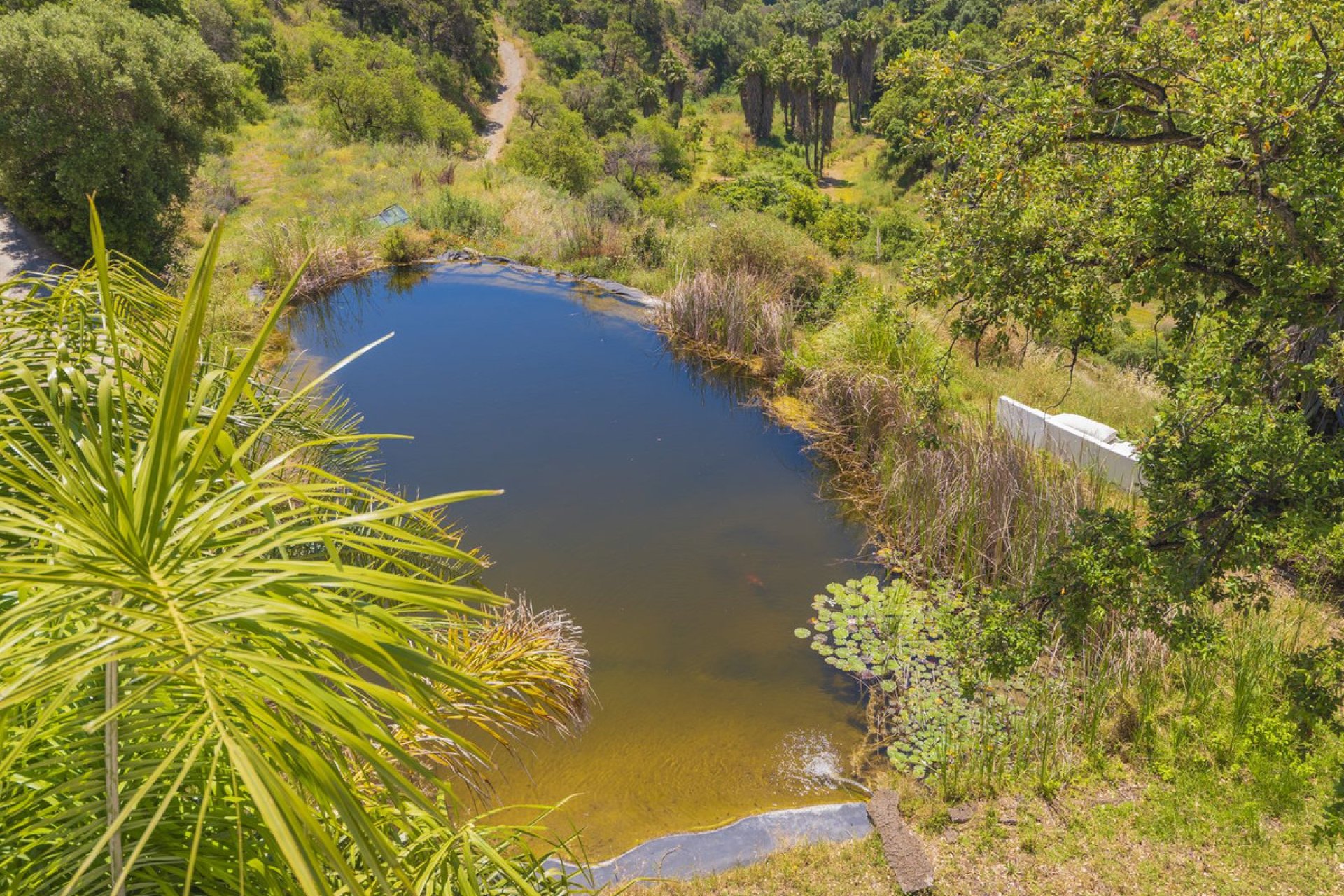 Reventa - Plot - Land - Estepona - Estepona Centro