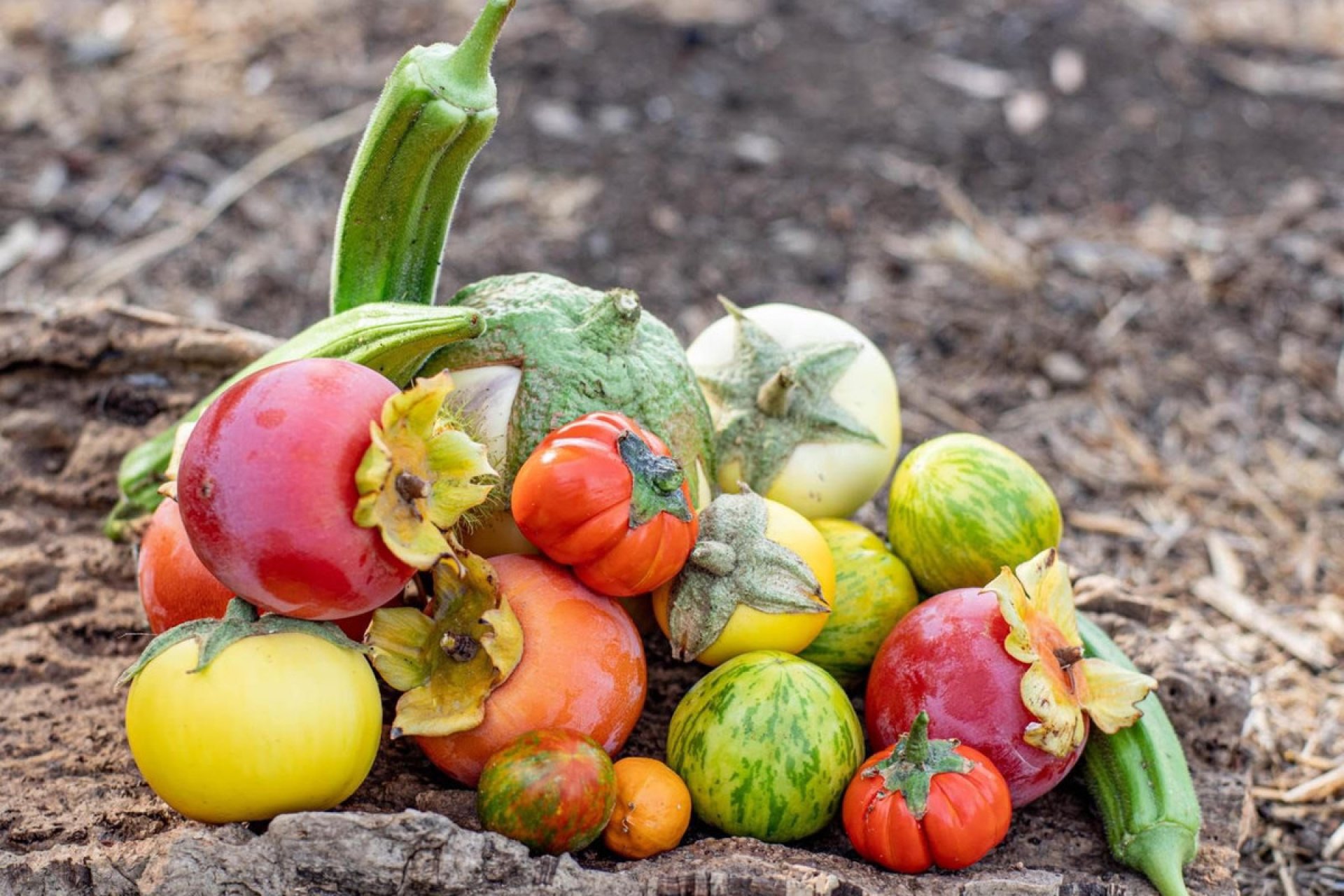 Reventa - Plot - Land - Estepona - Estepona Centro