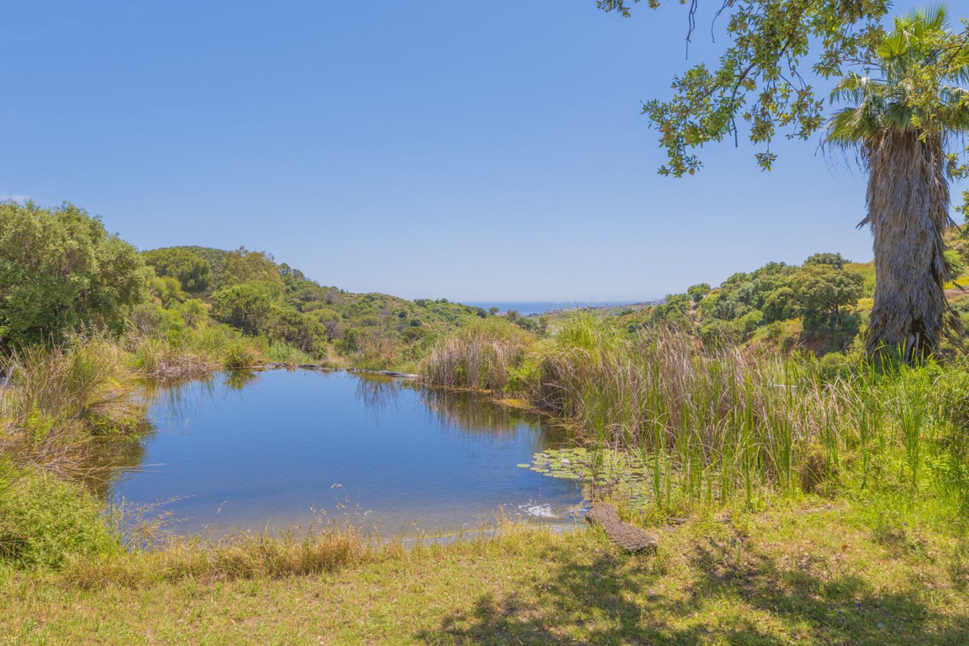 Reventa - Plot - Land - Estepona - Estepona Centro