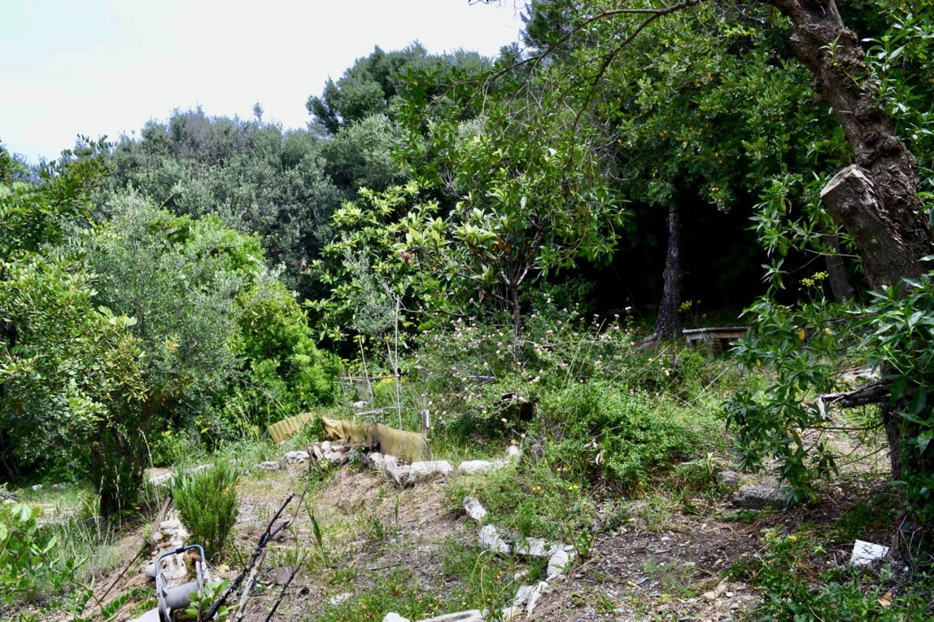 Reventa - Plot - Land - Estepona - Estepona Centro