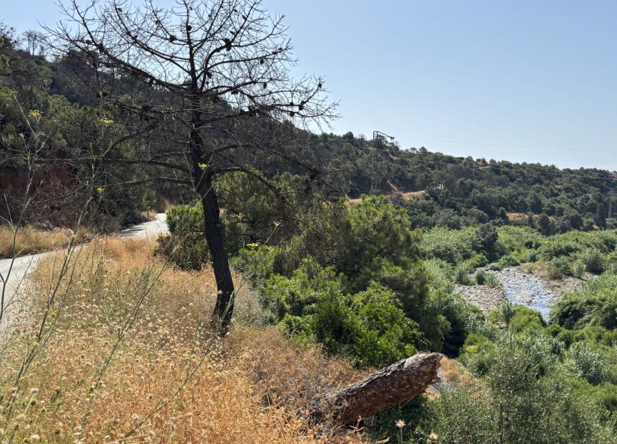 Reventa - Plot - Land - Estepona - Estepona Centro