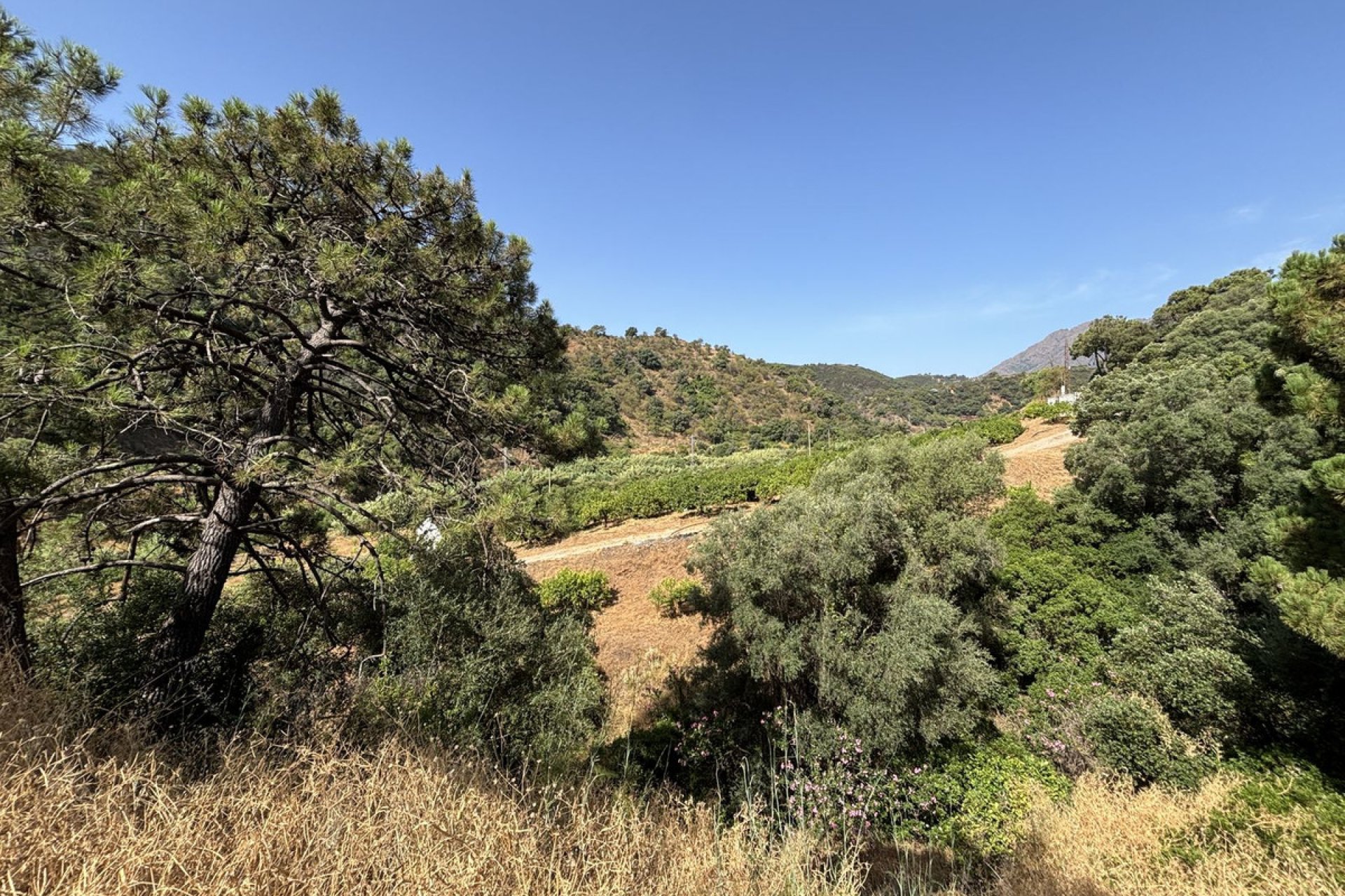 Reventa - Plot - Land - Estepona - Estepona Centro