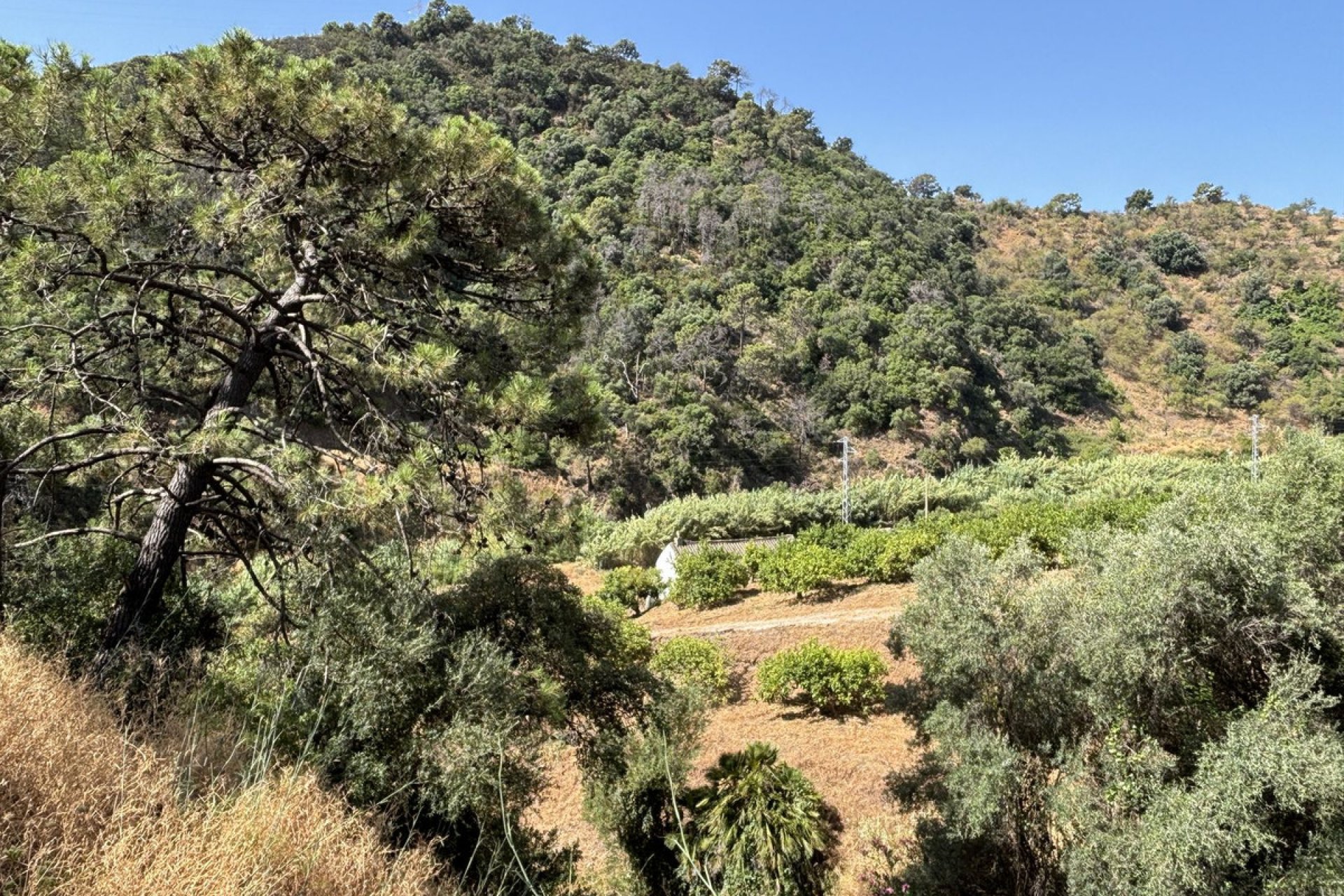 Reventa - Plot - Land - Estepona - Estepona Centro