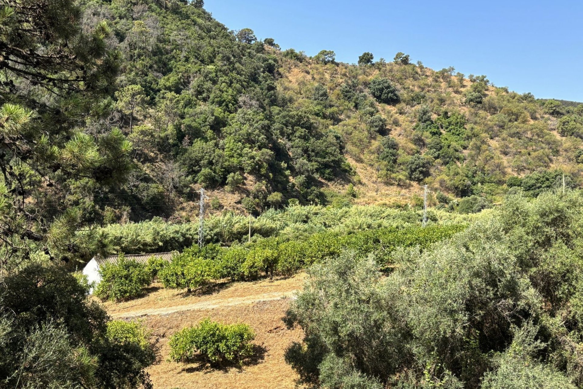 Reventa - Plot - Land - Estepona - Estepona Centro