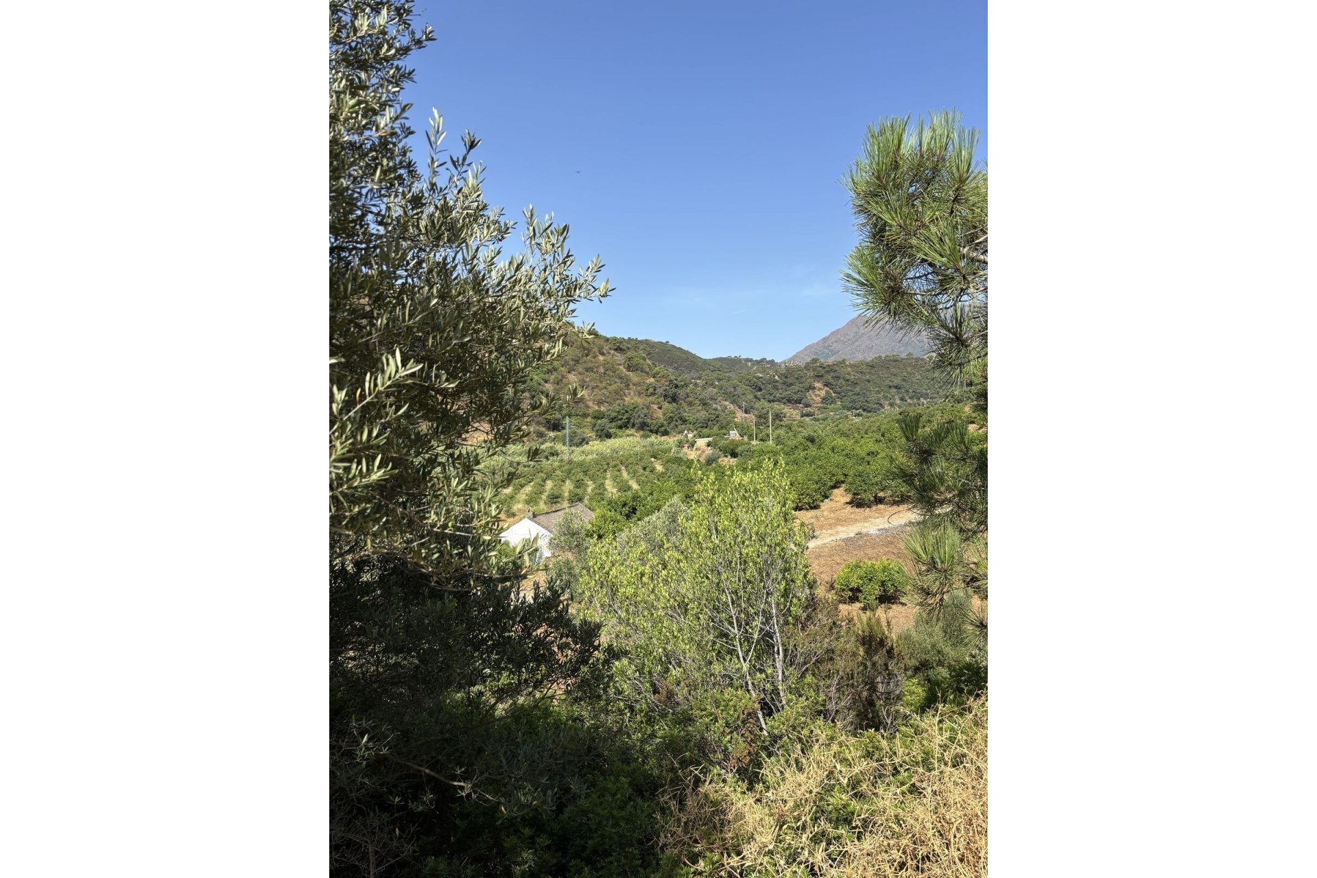 Reventa - Plot - Land - Estepona - Estepona Centro