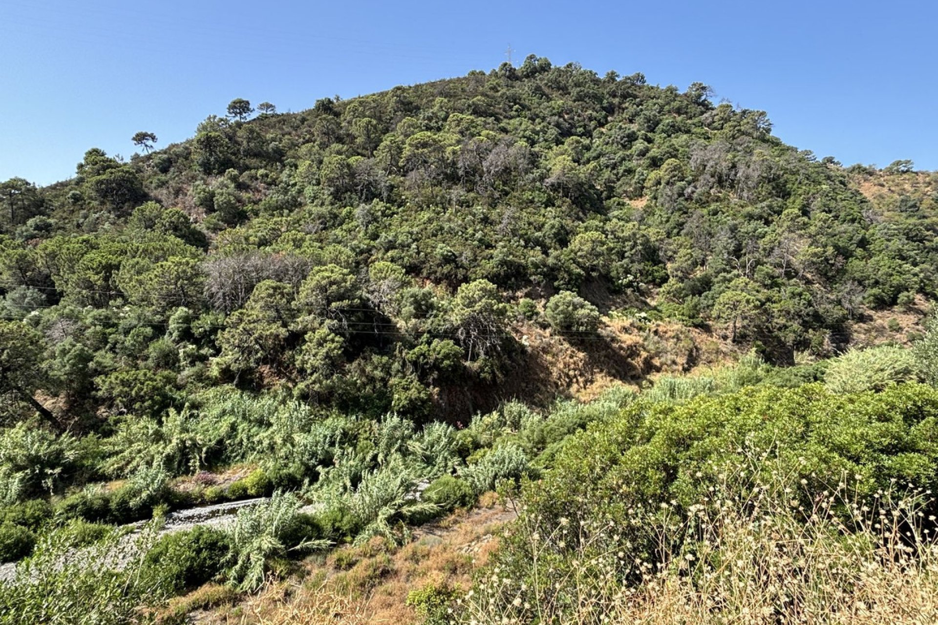 Reventa - Plot - Land - Estepona - Estepona Centro