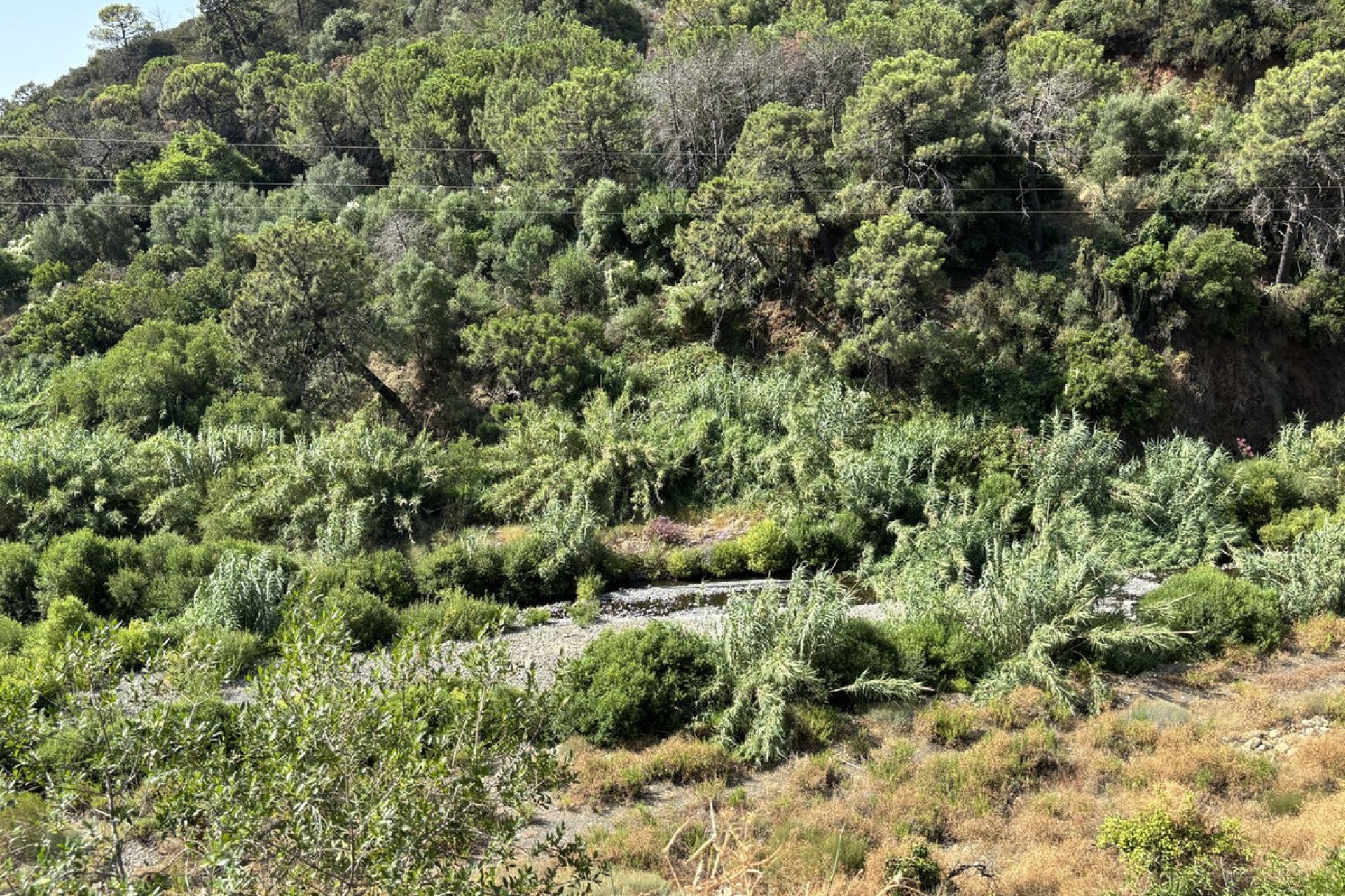 Reventa - Plot - Land - Estepona - Estepona Centro