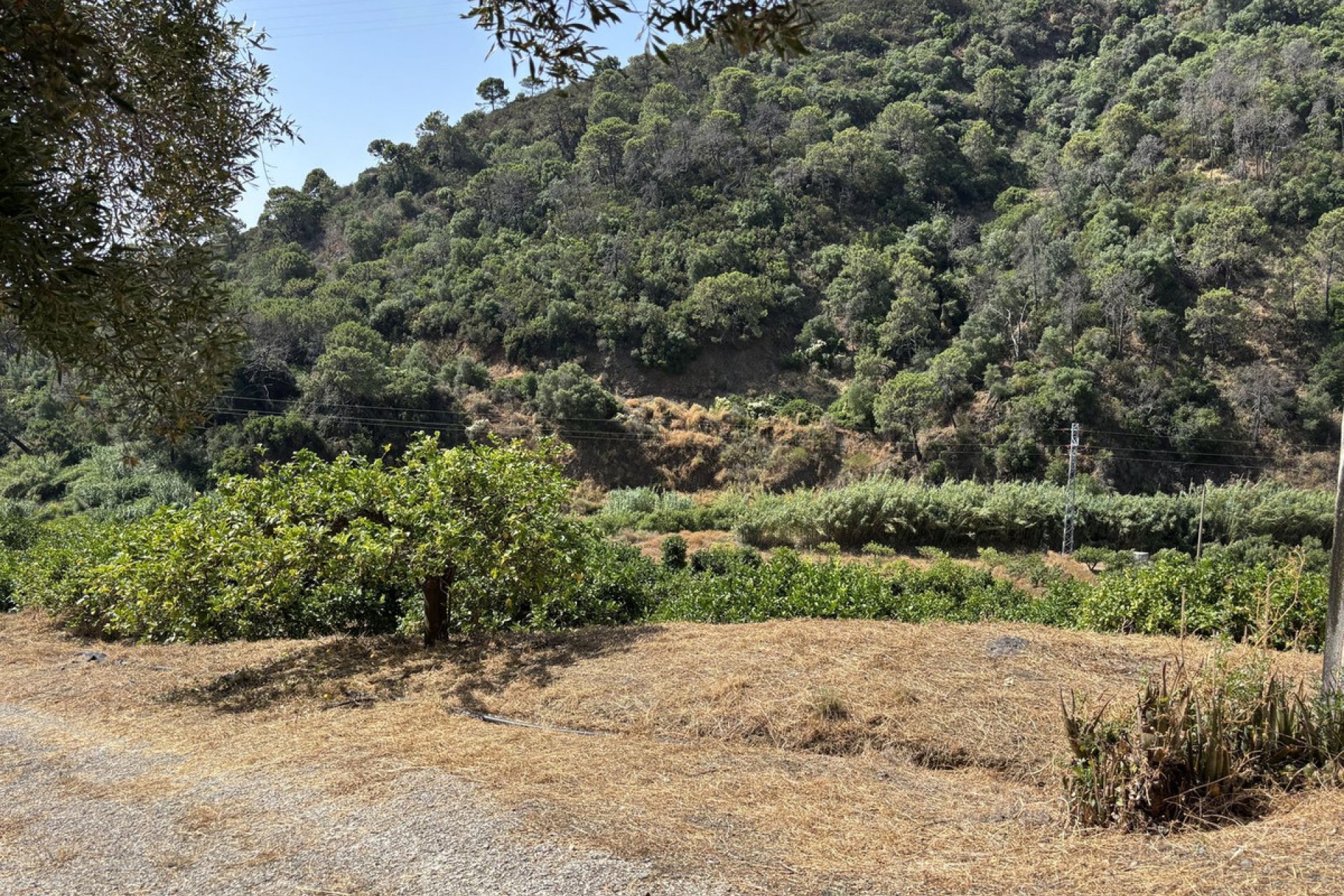 Reventa - Plot - Land - Estepona - Estepona Centro