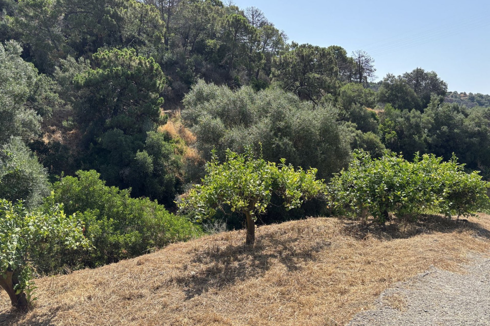 Reventa - Plot - Land - Estepona - Estepona Centro