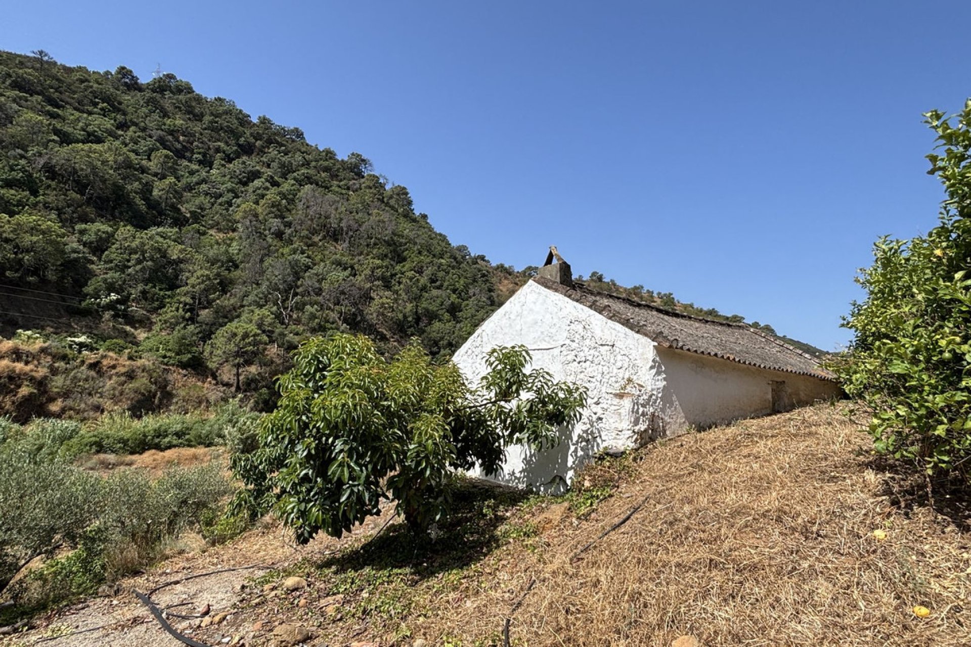 Reventa - Plot - Land - Estepona - Estepona Centro