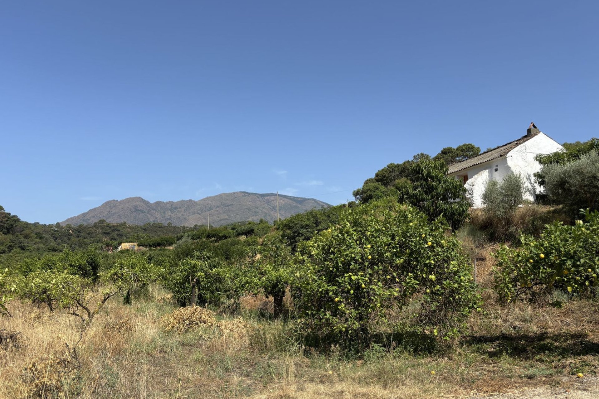 Reventa - Plot - Land - Estepona - Estepona Centro