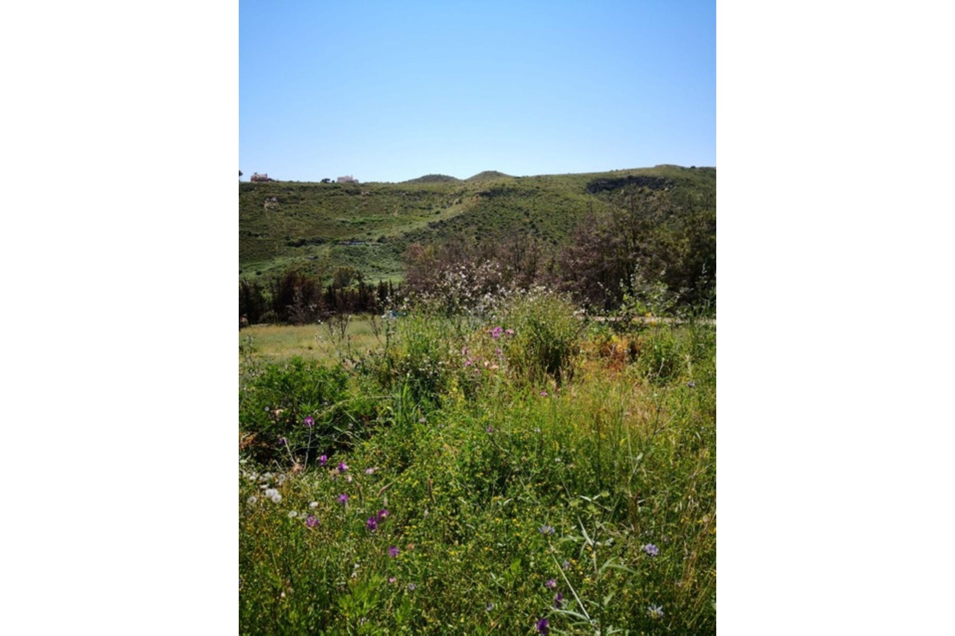 Reventa - Plot - Land - Manilva - Manilva Centro